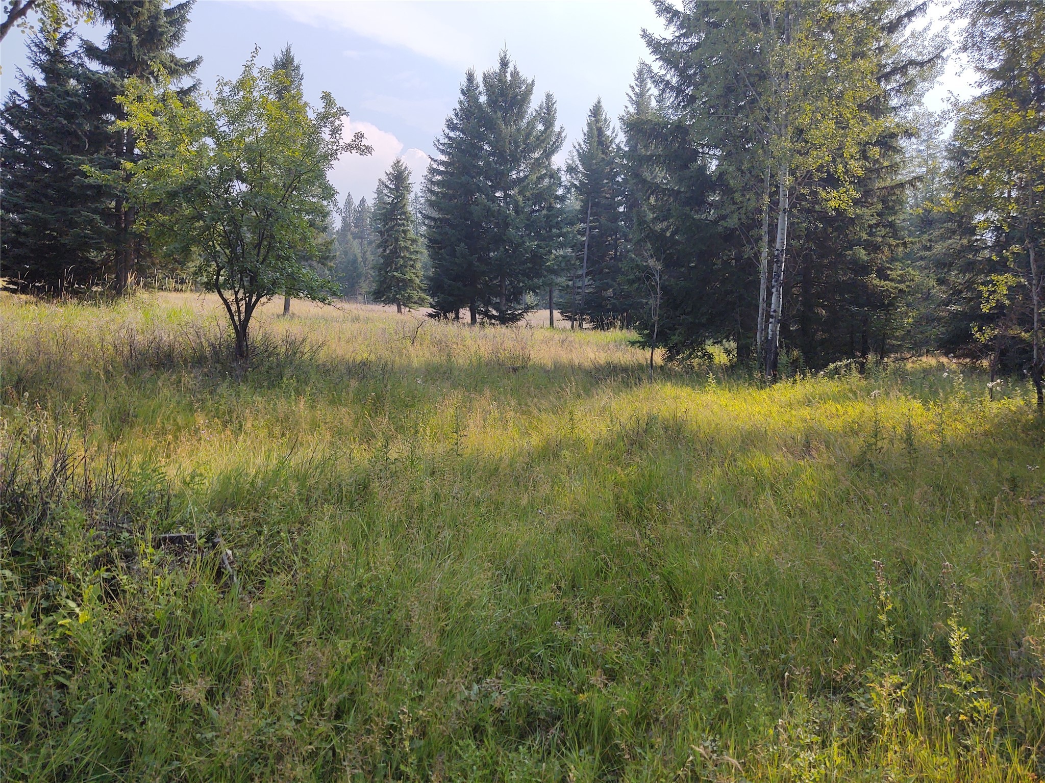42799 Roullier Road Property Photo 2