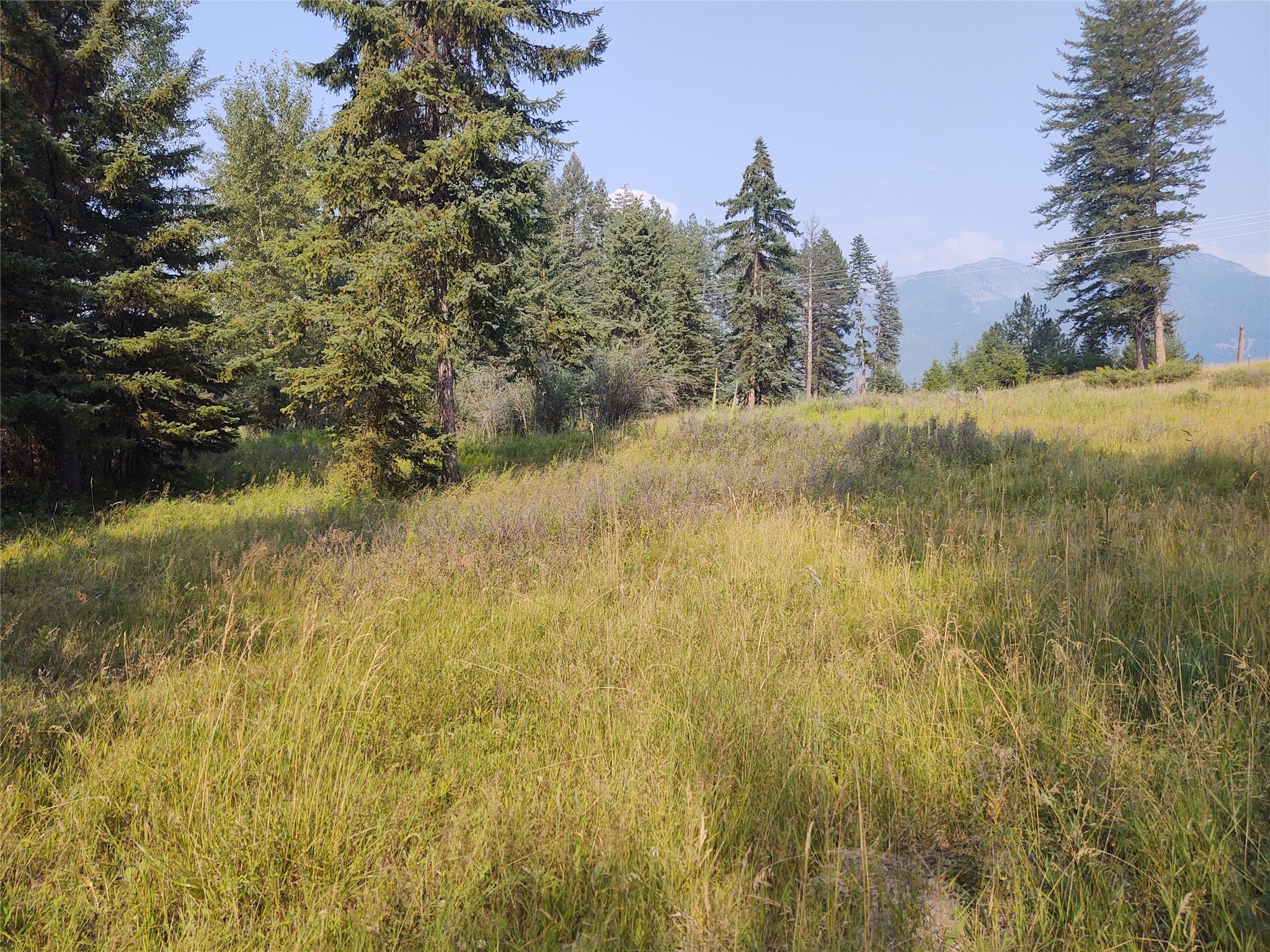 42799 Roullier Road Property Photo 3