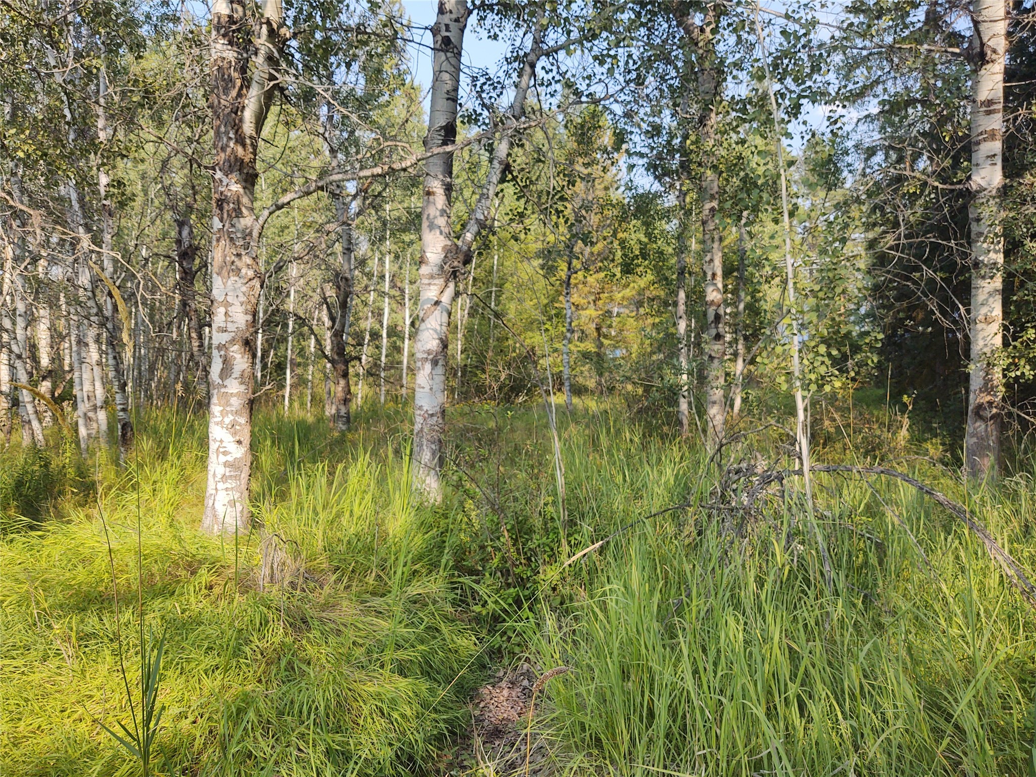 42799 Roullier Road Property Photo 4