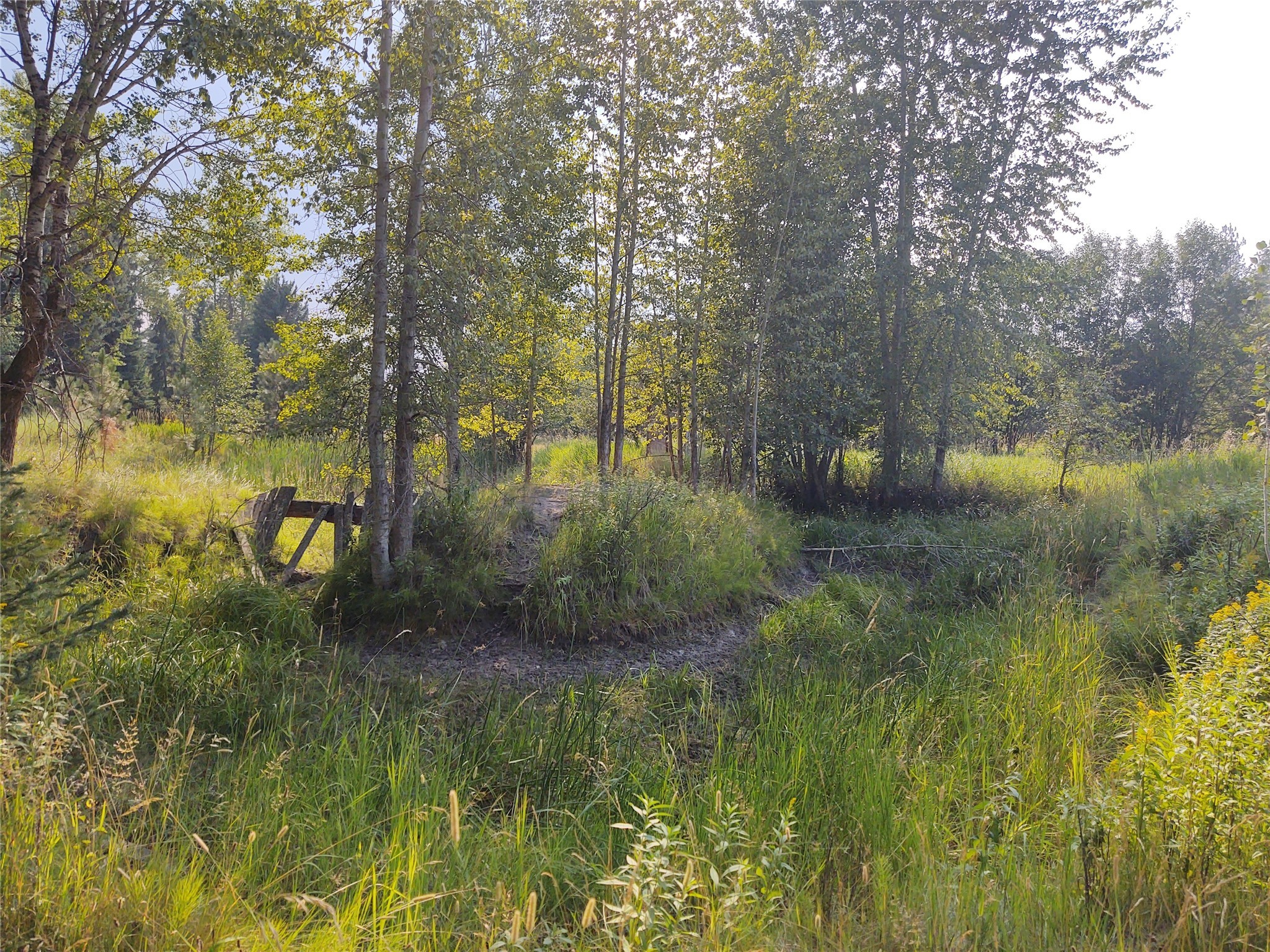 42799 Roullier Road Property Photo 5