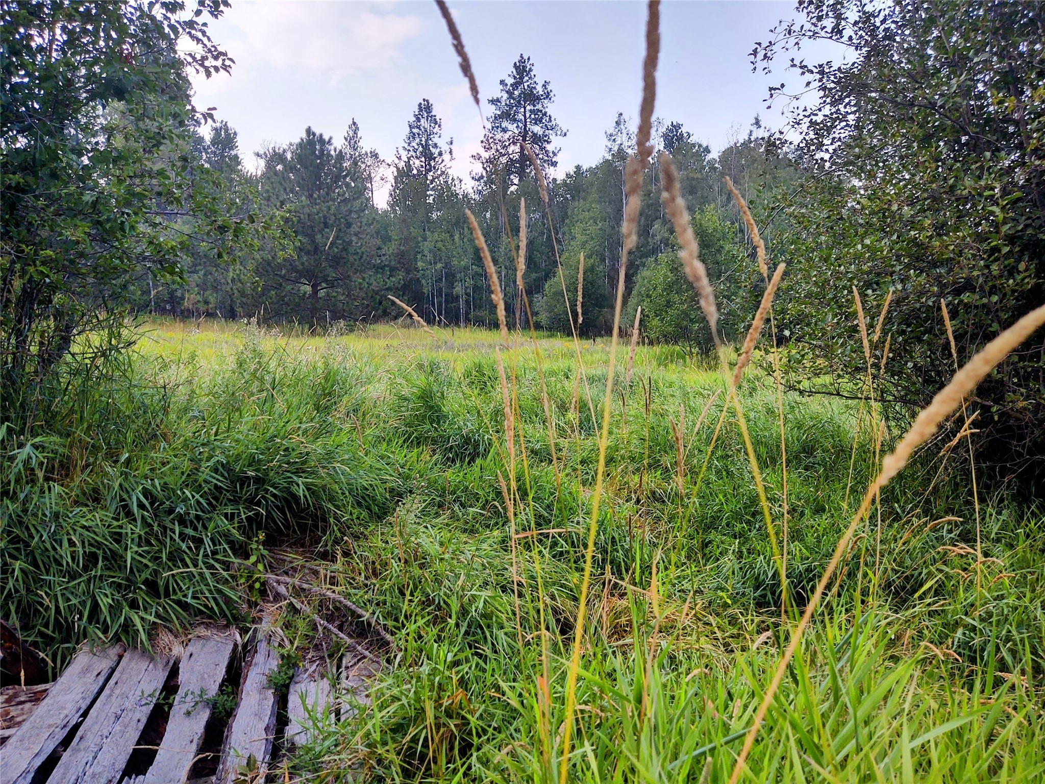 42799 Roullier Road Property Photo 6