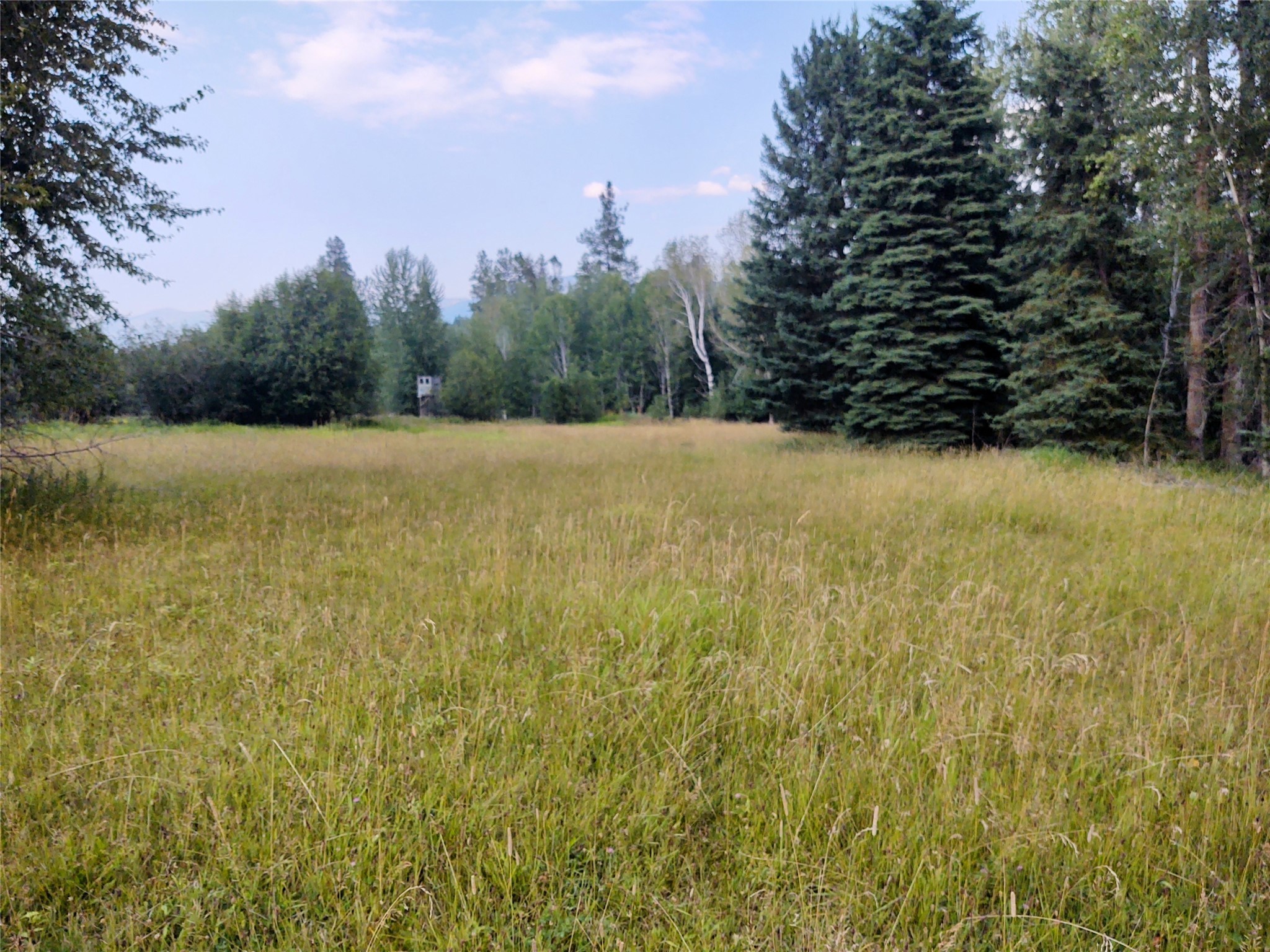 42799 Roullier Road Property Photo 7