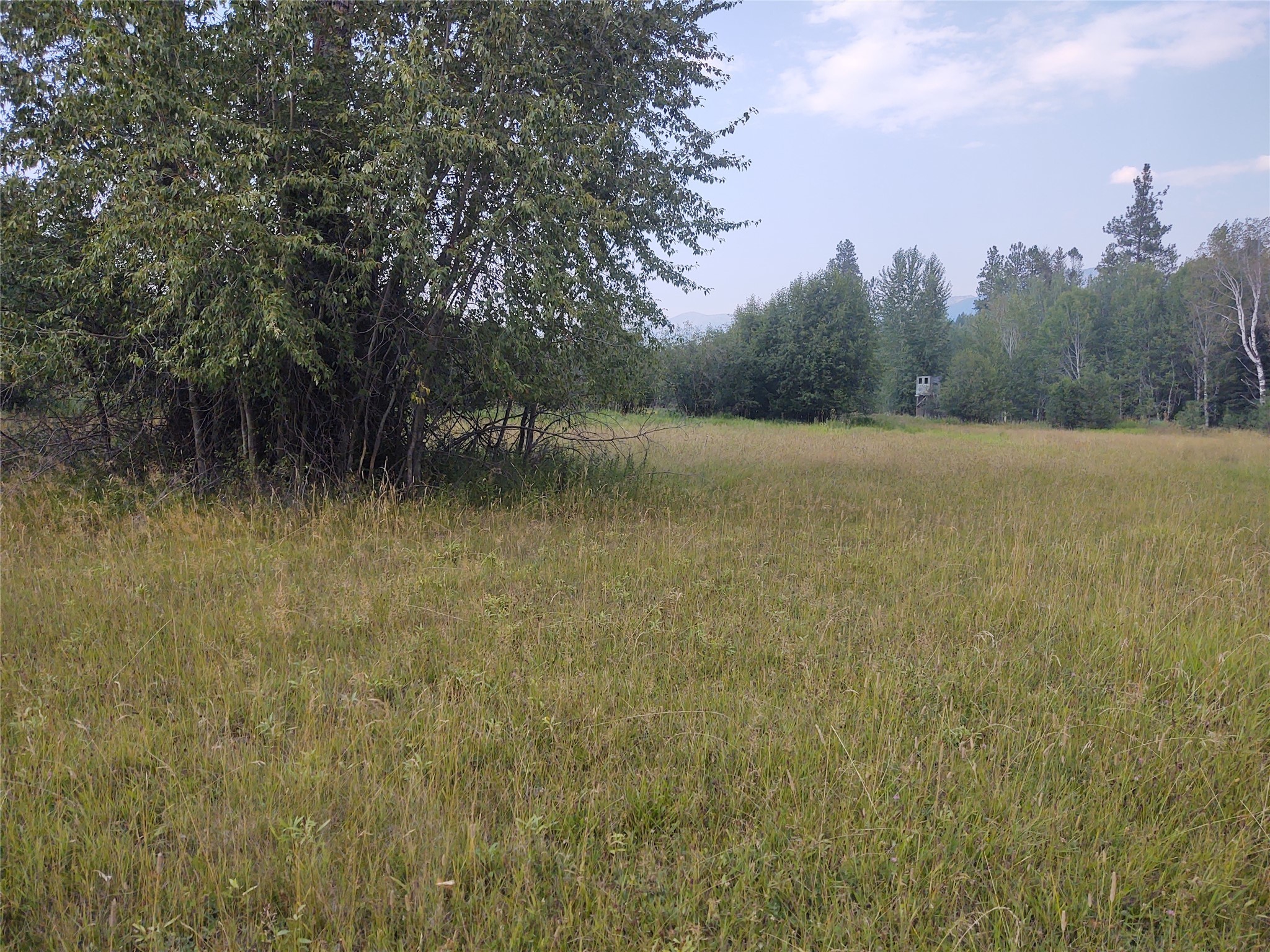 42799 Roullier Road Property Photo 8