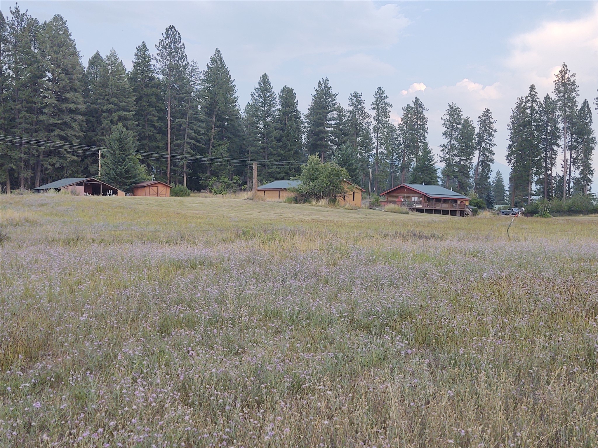 42799 Roullier Road Property Photo 9