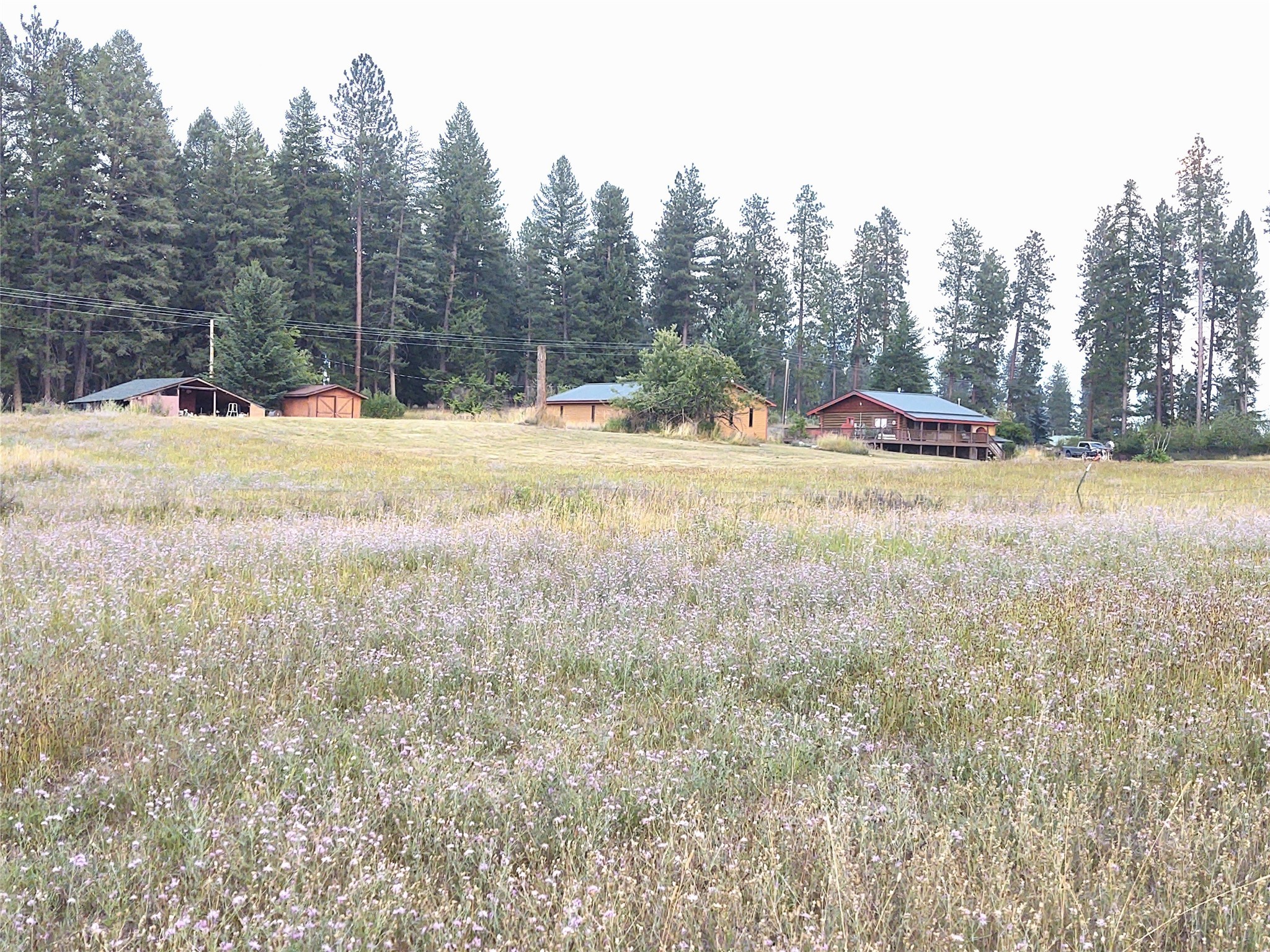 42799 Roullier Road Property Photo 11