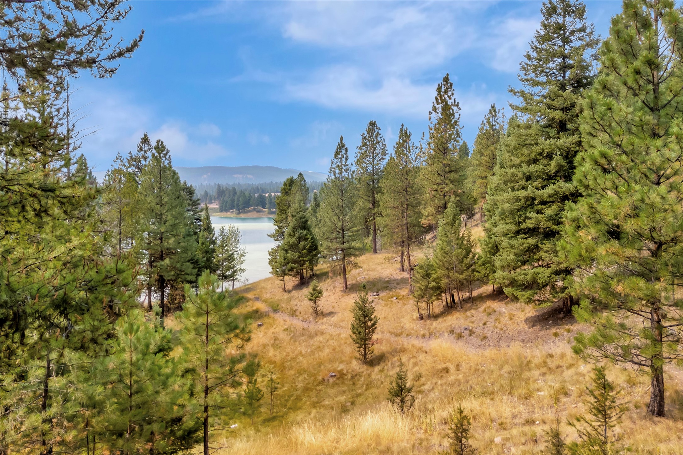 962 Emerald Lake Loop Property Photo 8