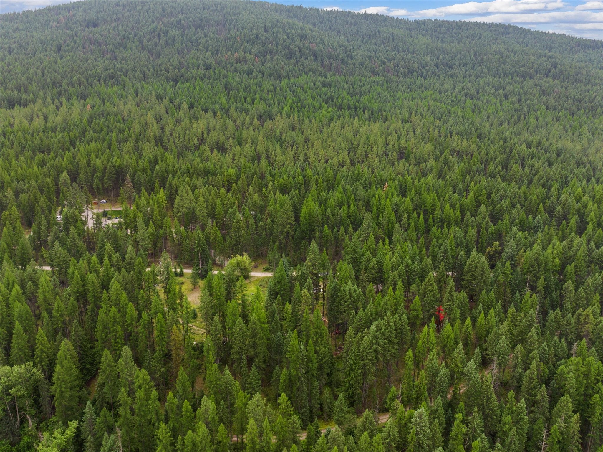 1141 Warland Creek Road Property Photo 13