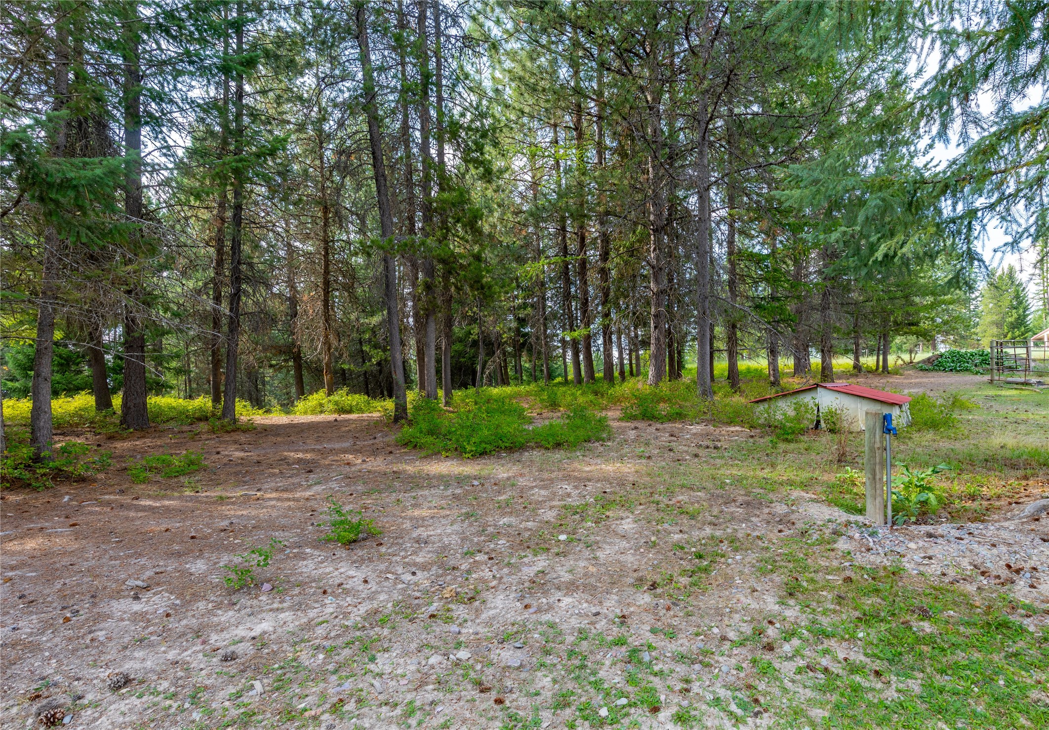 6780 Highway 83 Property Photo 55