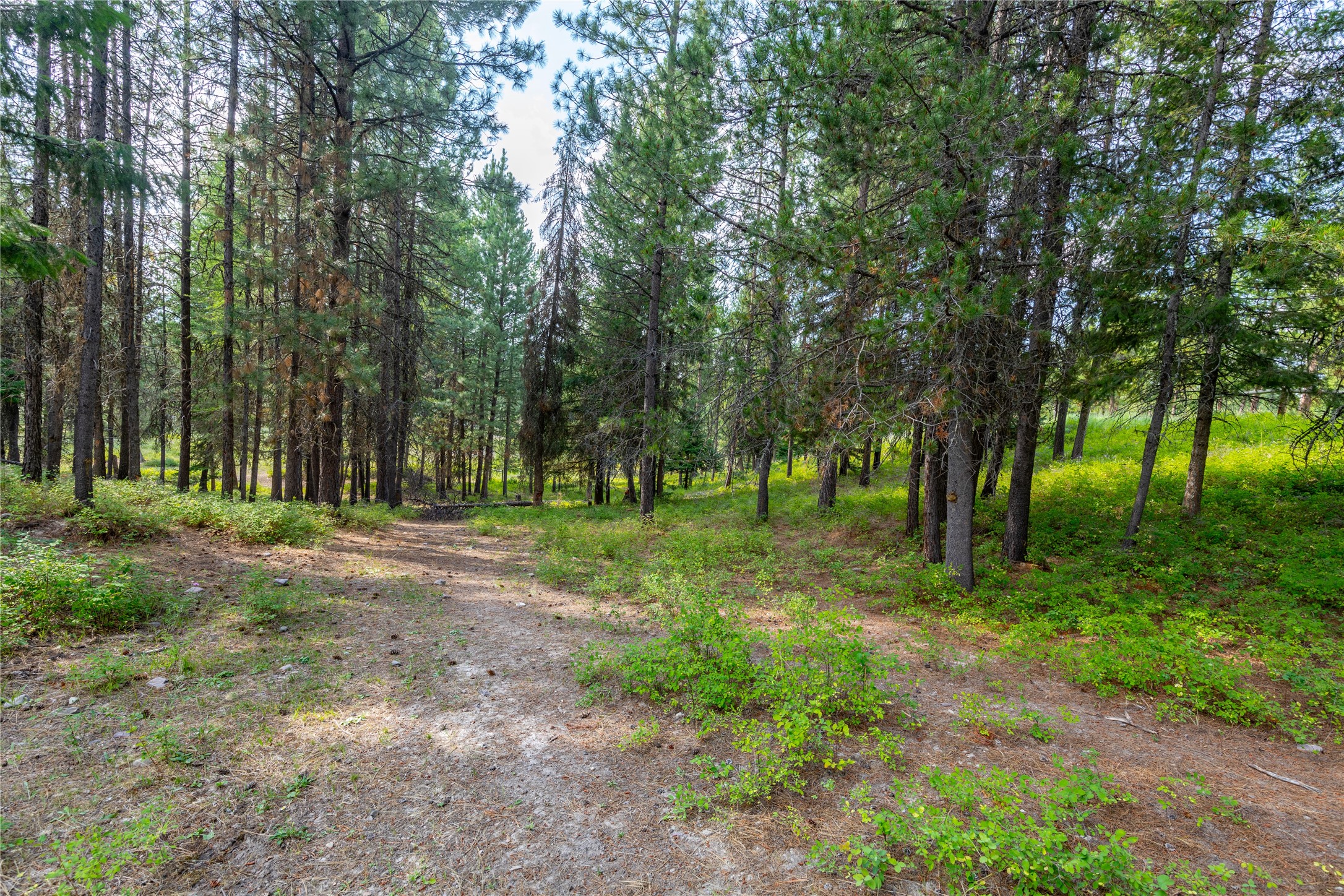 6780 Highway 83 Property Photo 56