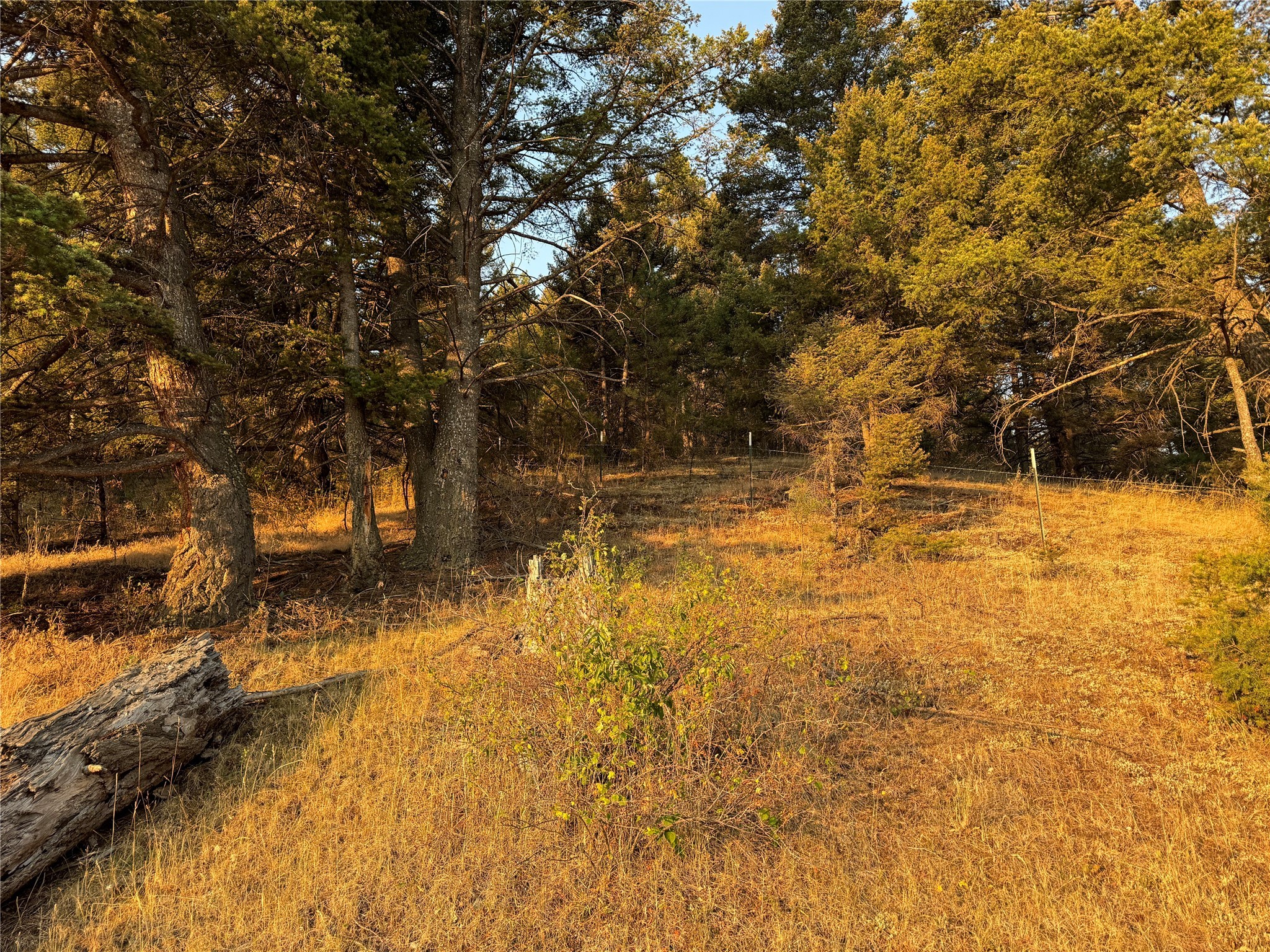 Nhn Corbin Road Property Photo 35