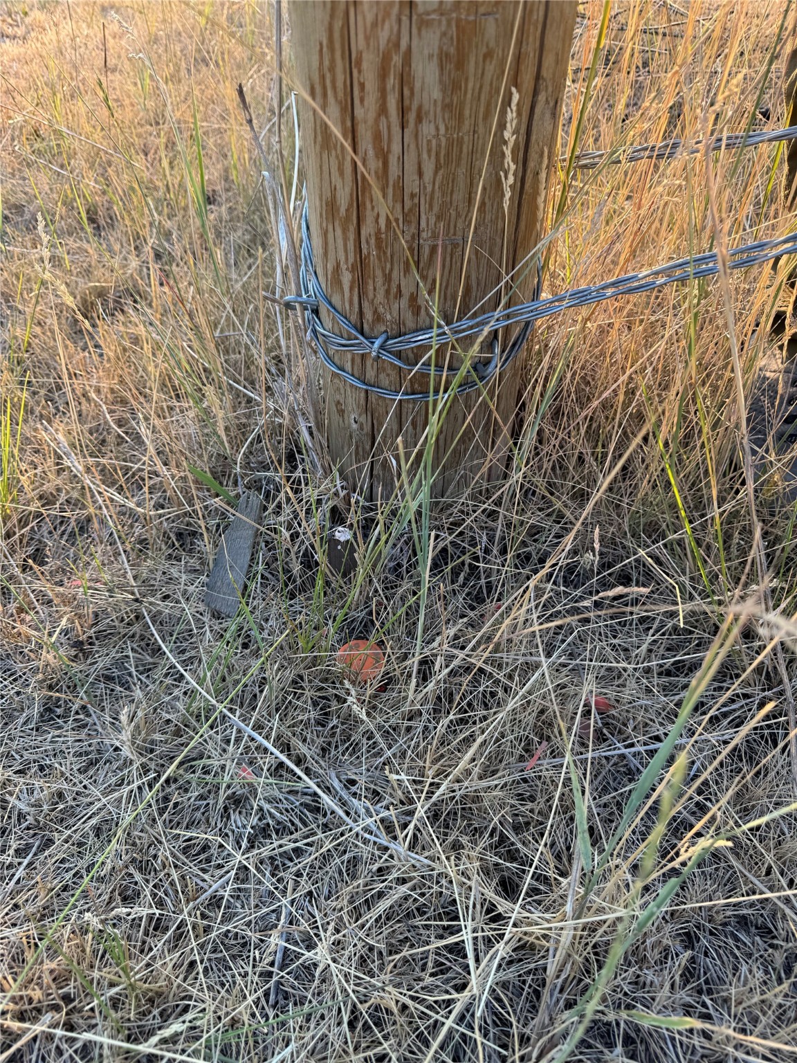 Nhn Corbin Road Property Photo 36