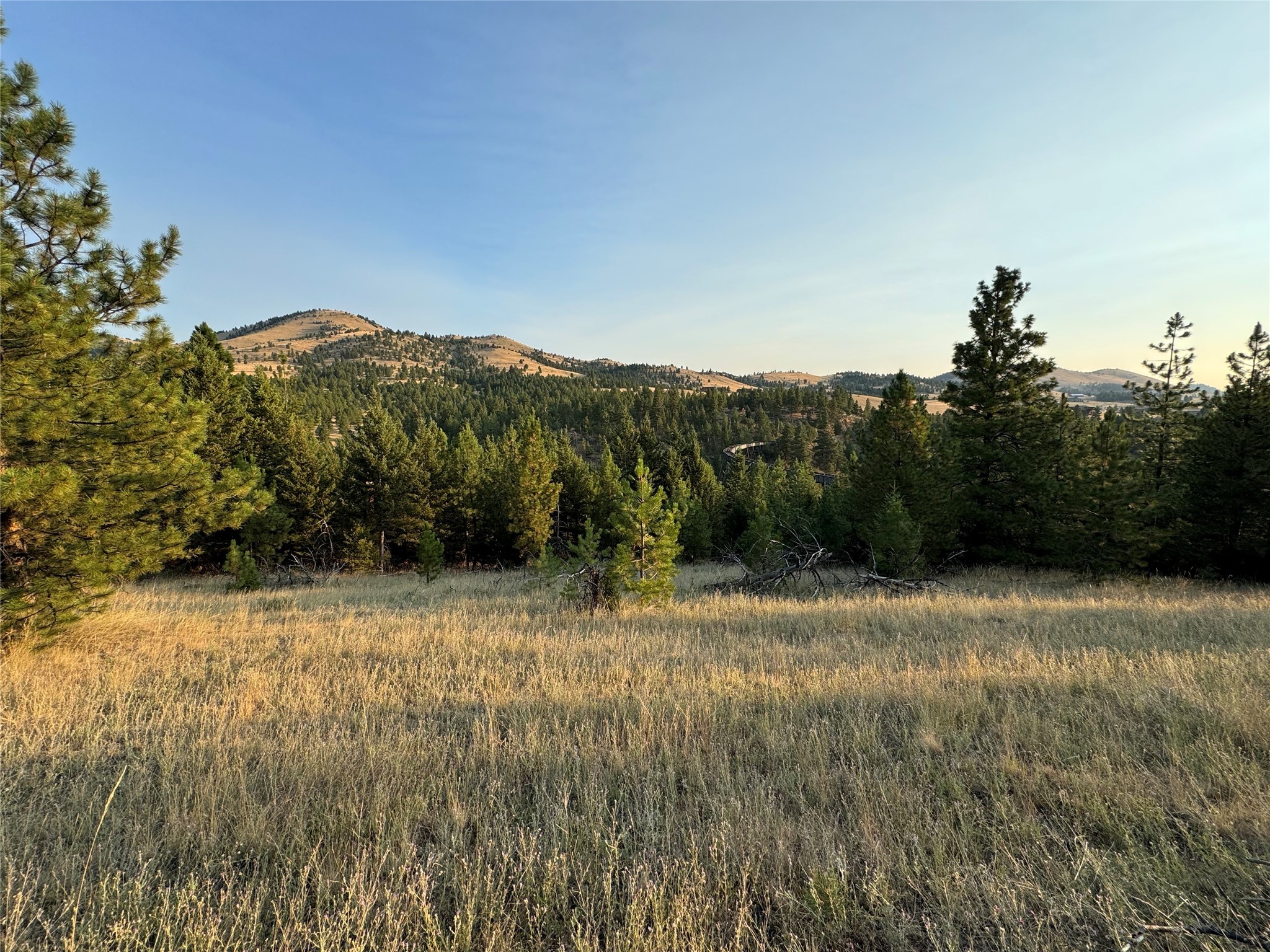 Nhn Corbin Road Property Photo 46