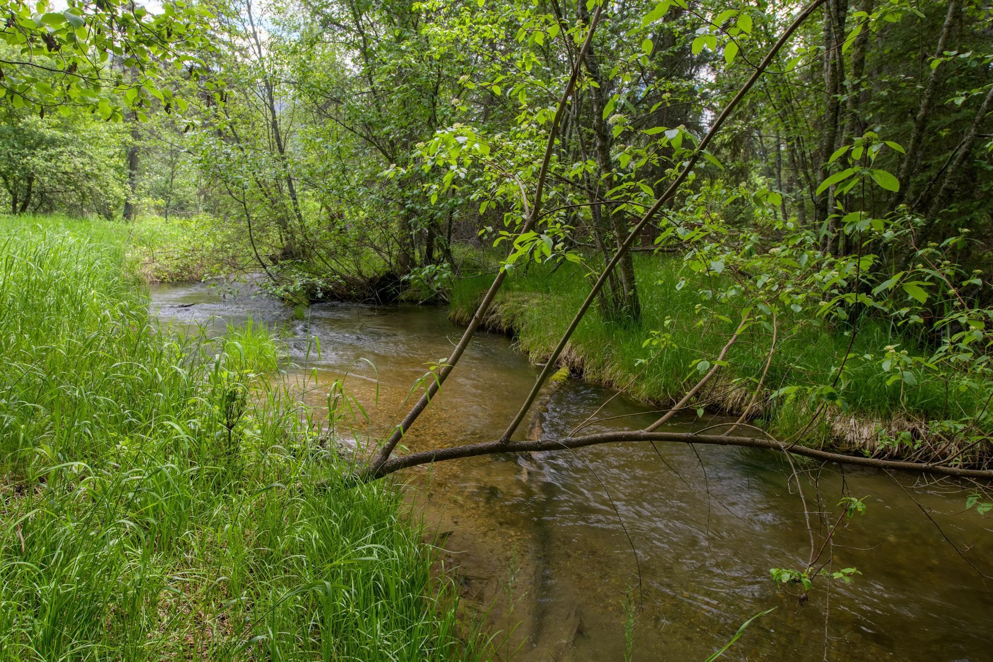 3700 Glen Lake Road Property Photo 50