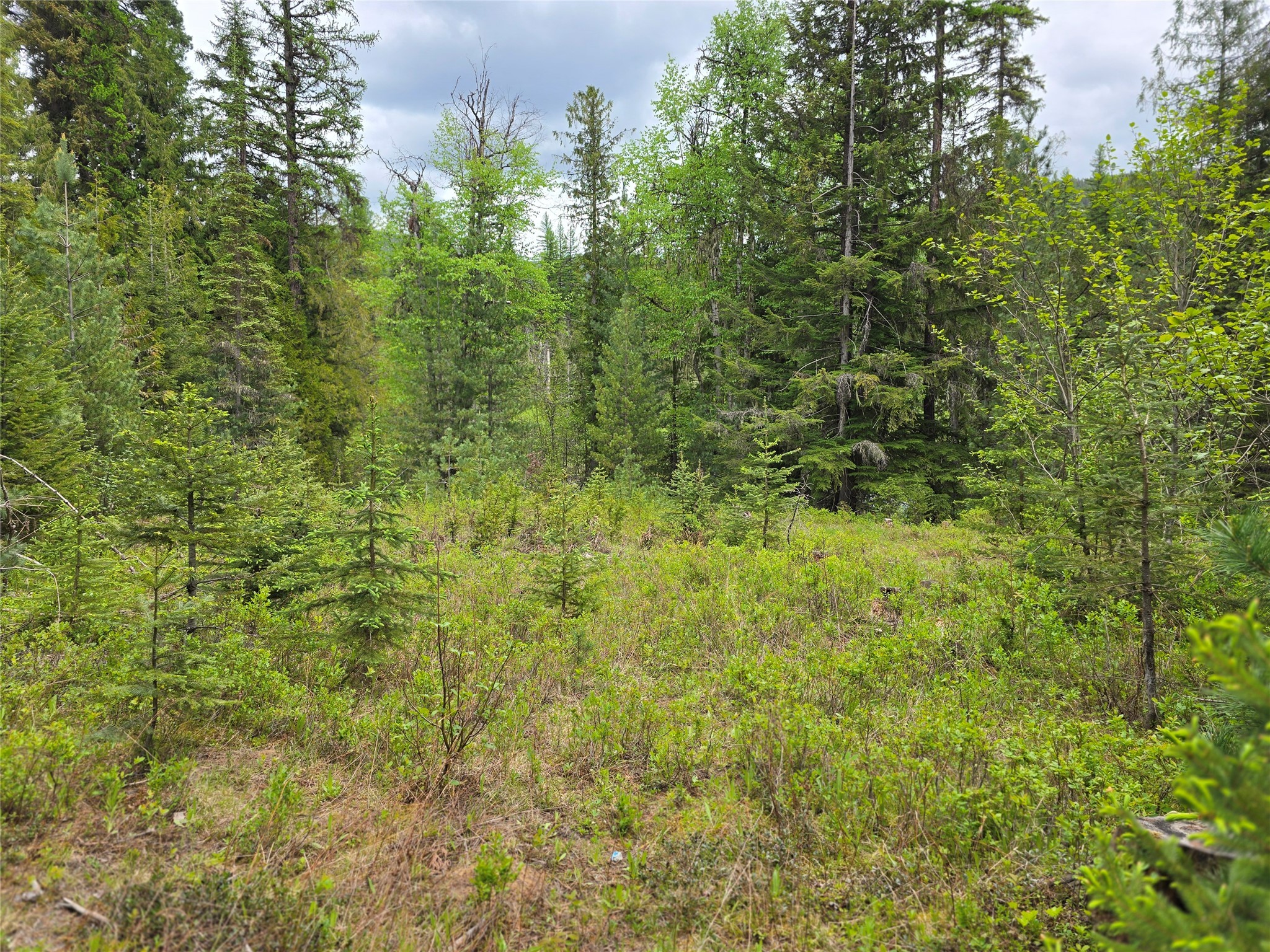 10689 Yaak River Road Property Photo 8