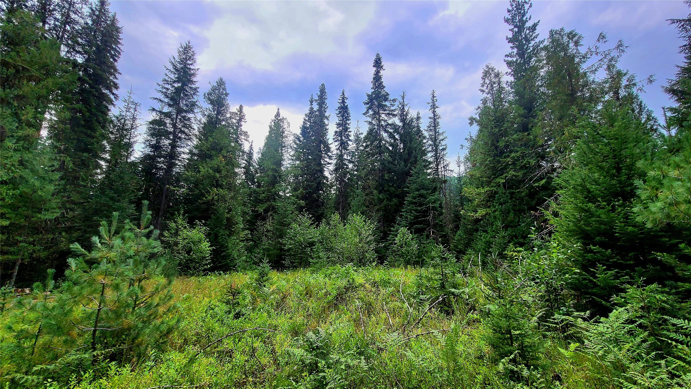 10689 Yaak River Road Property Photo 25