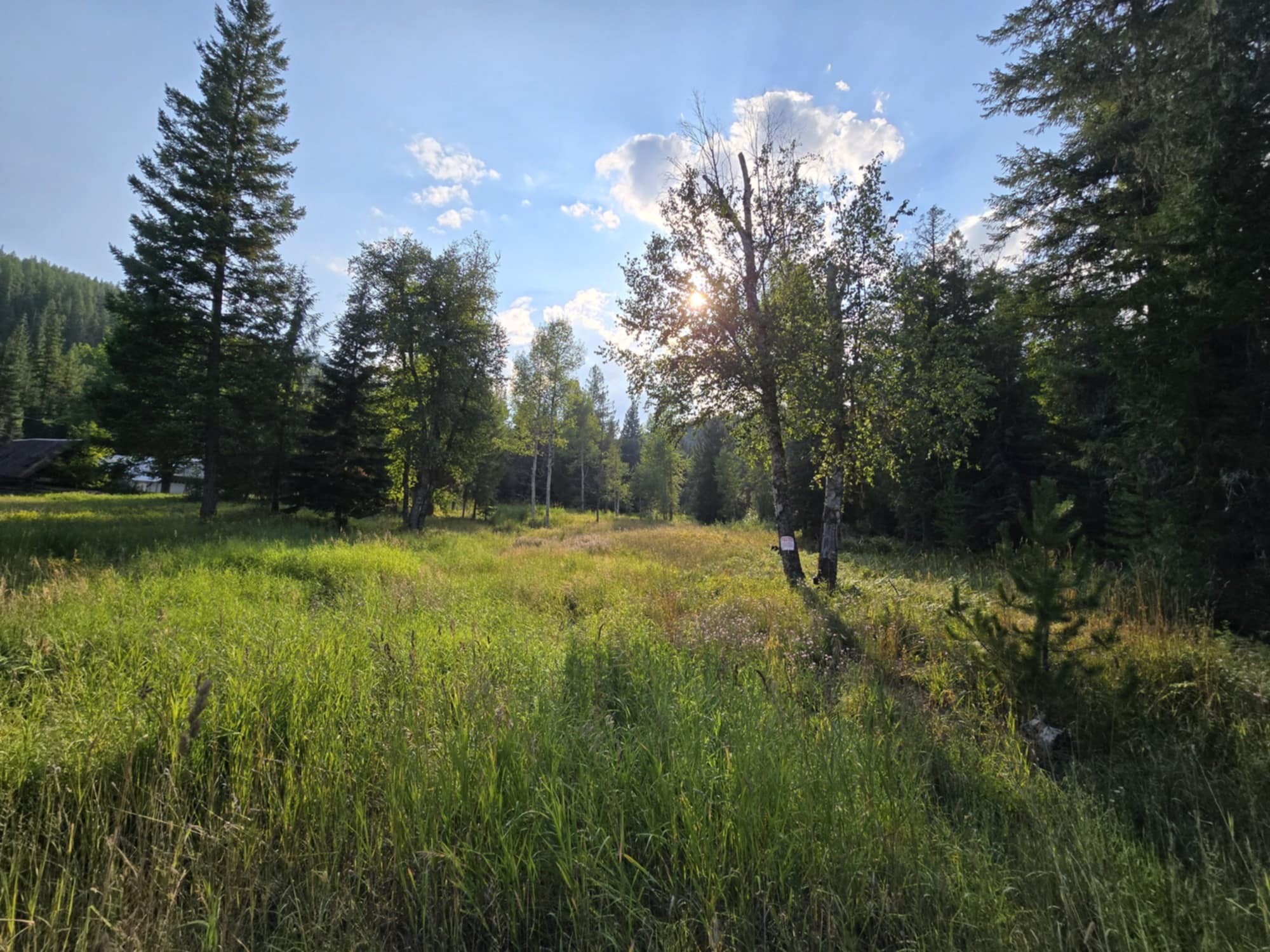 10689 Yaak River Road Property Photo 45