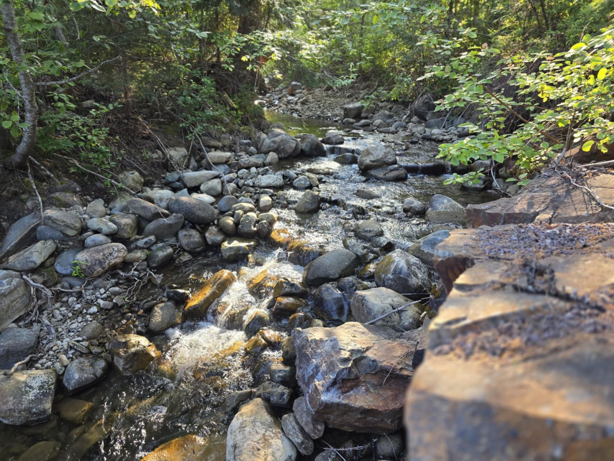 10689 Yaak River Road Property Photo 46