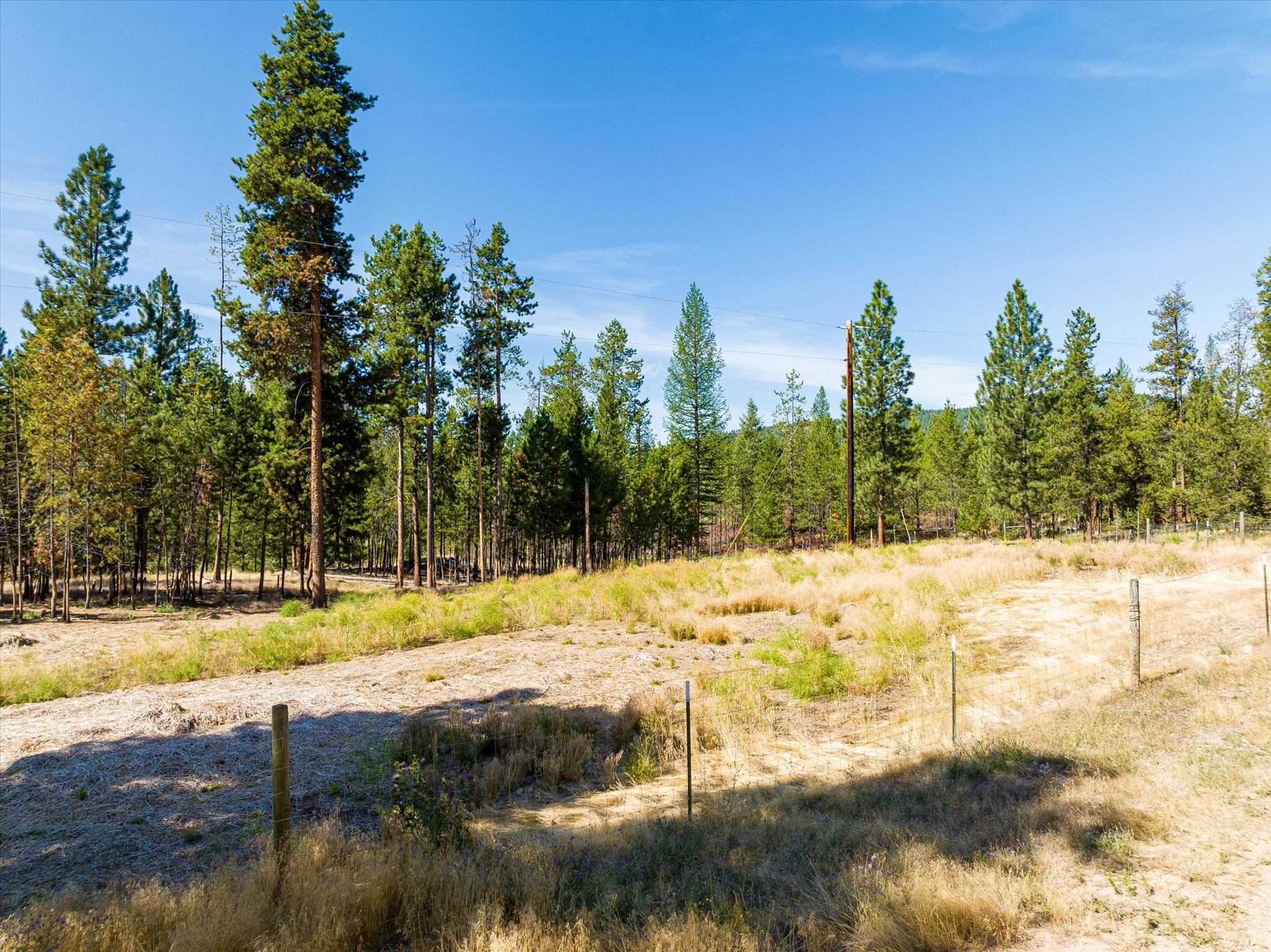 506 Badger Hollow Trail Property Photo 4