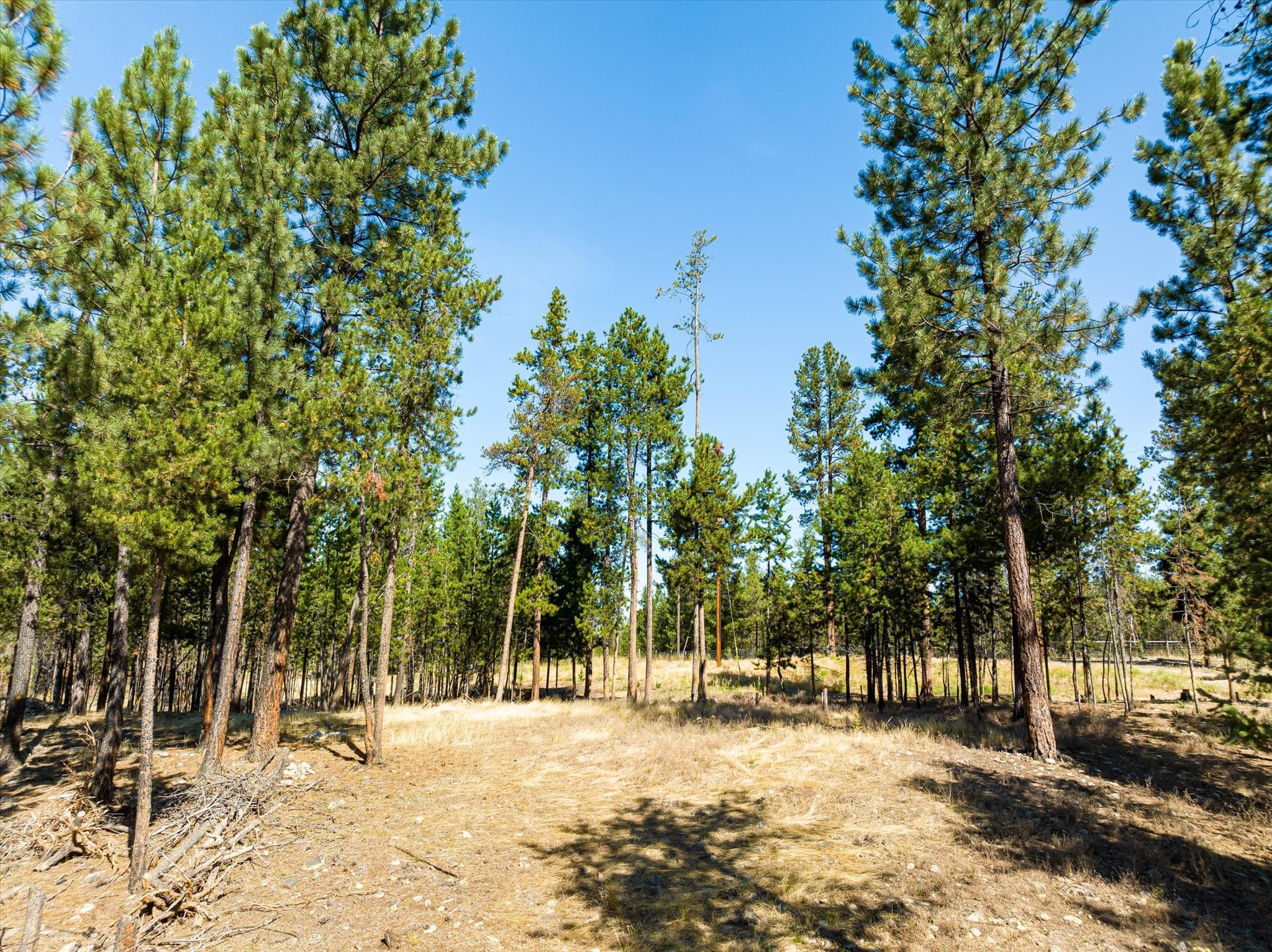 506 Badger Hollow Trail Property Photo 33