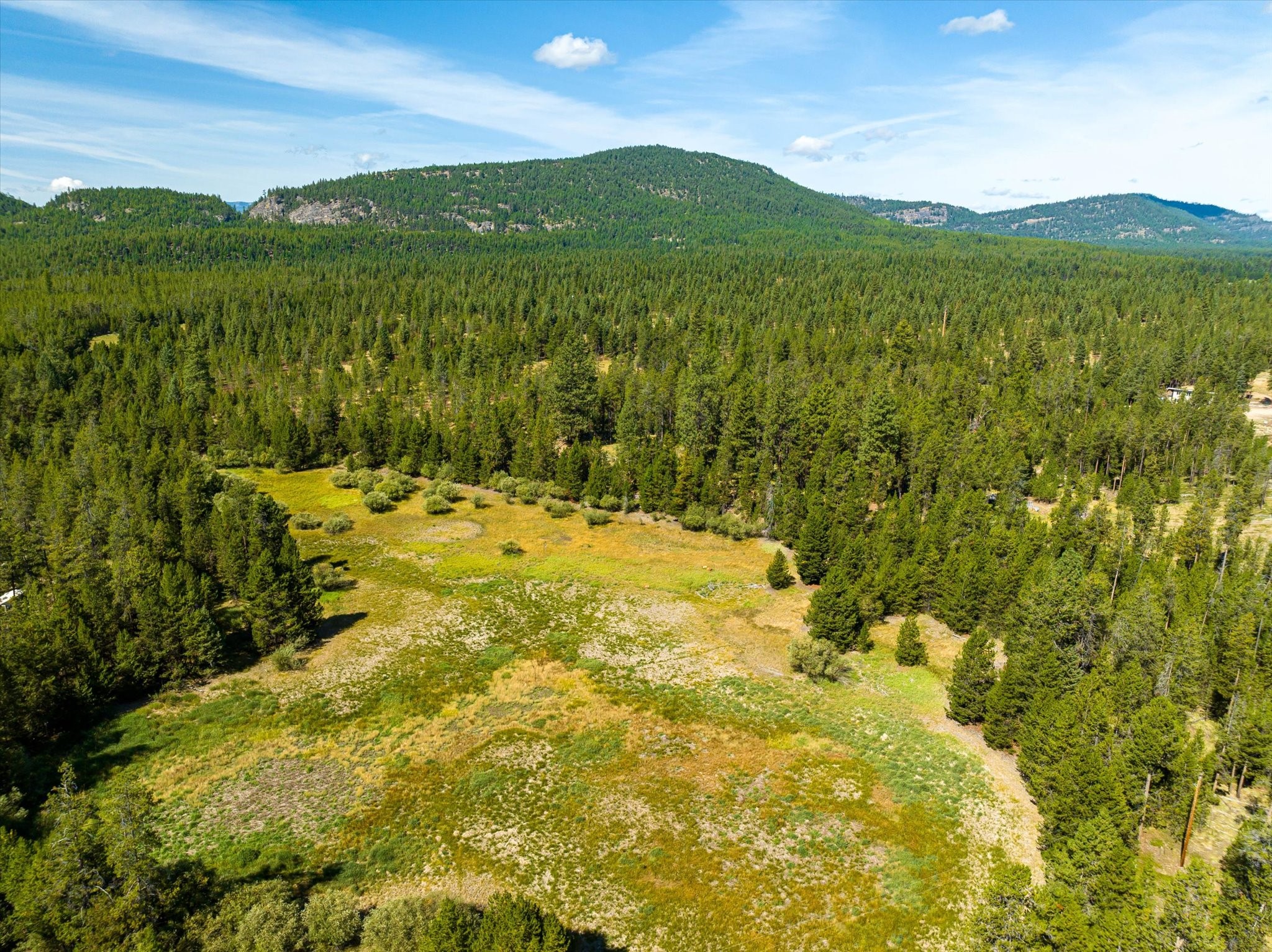 506 Badger Hollow Trail Property Photo 42