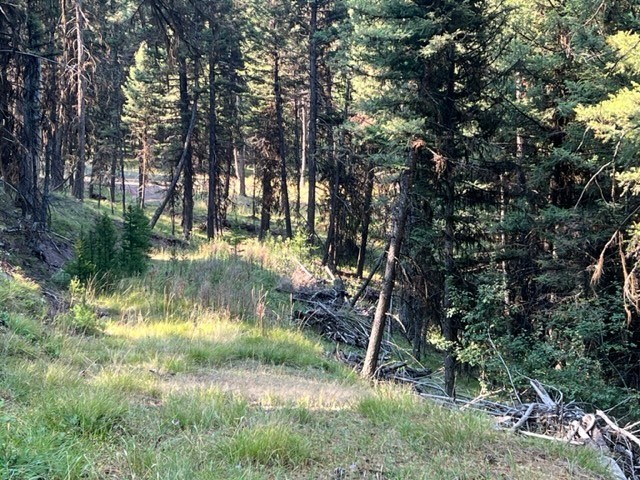 433 Stage Coach Drive Property Photo 4