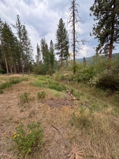 Nhn Johanna Drive Property Photo 17