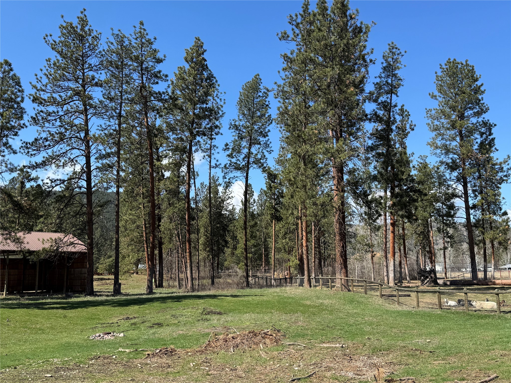 Nhn Johanna Drive Property Photo 26