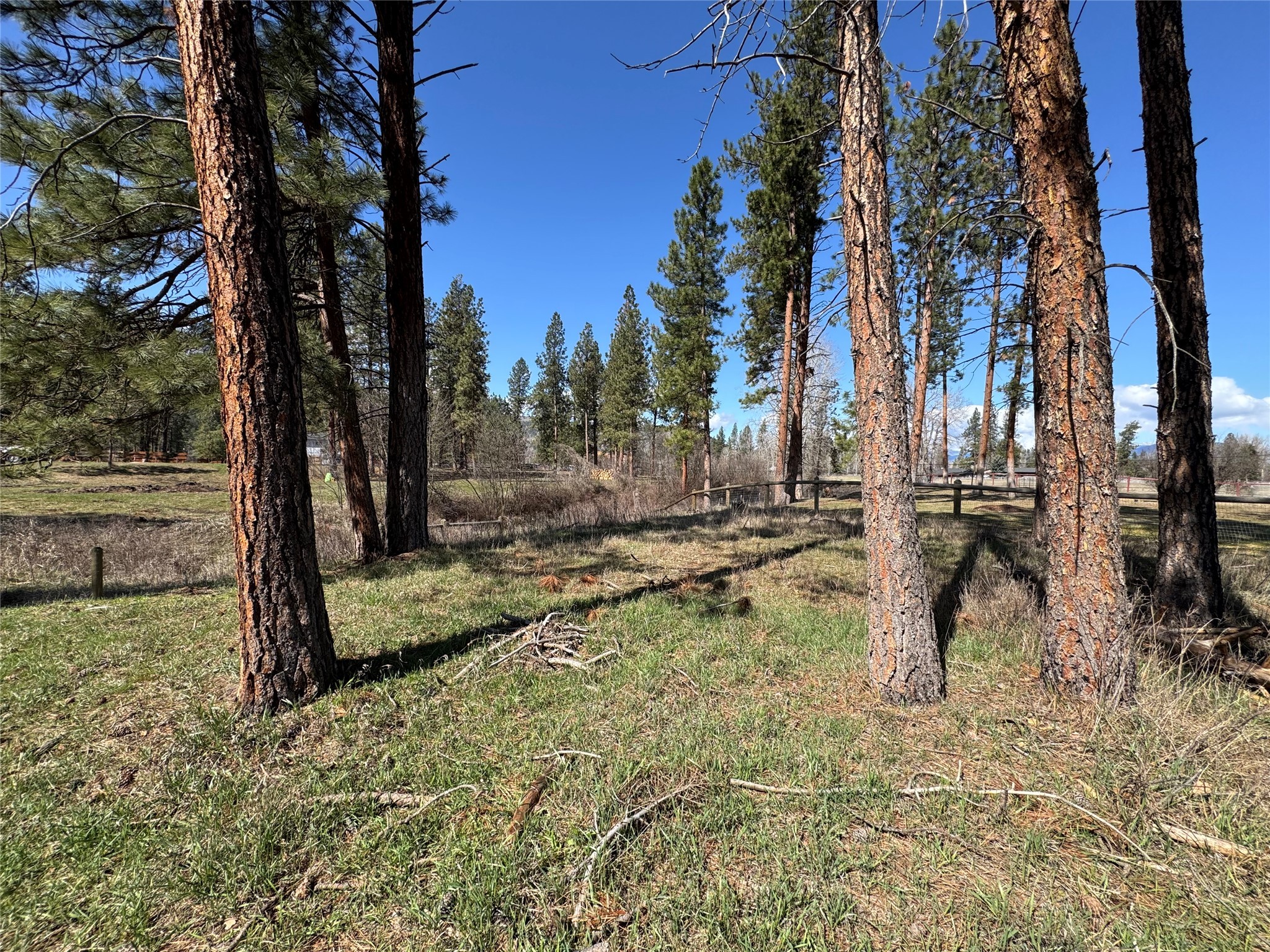 Nhn Johanna Drive Property Photo 34