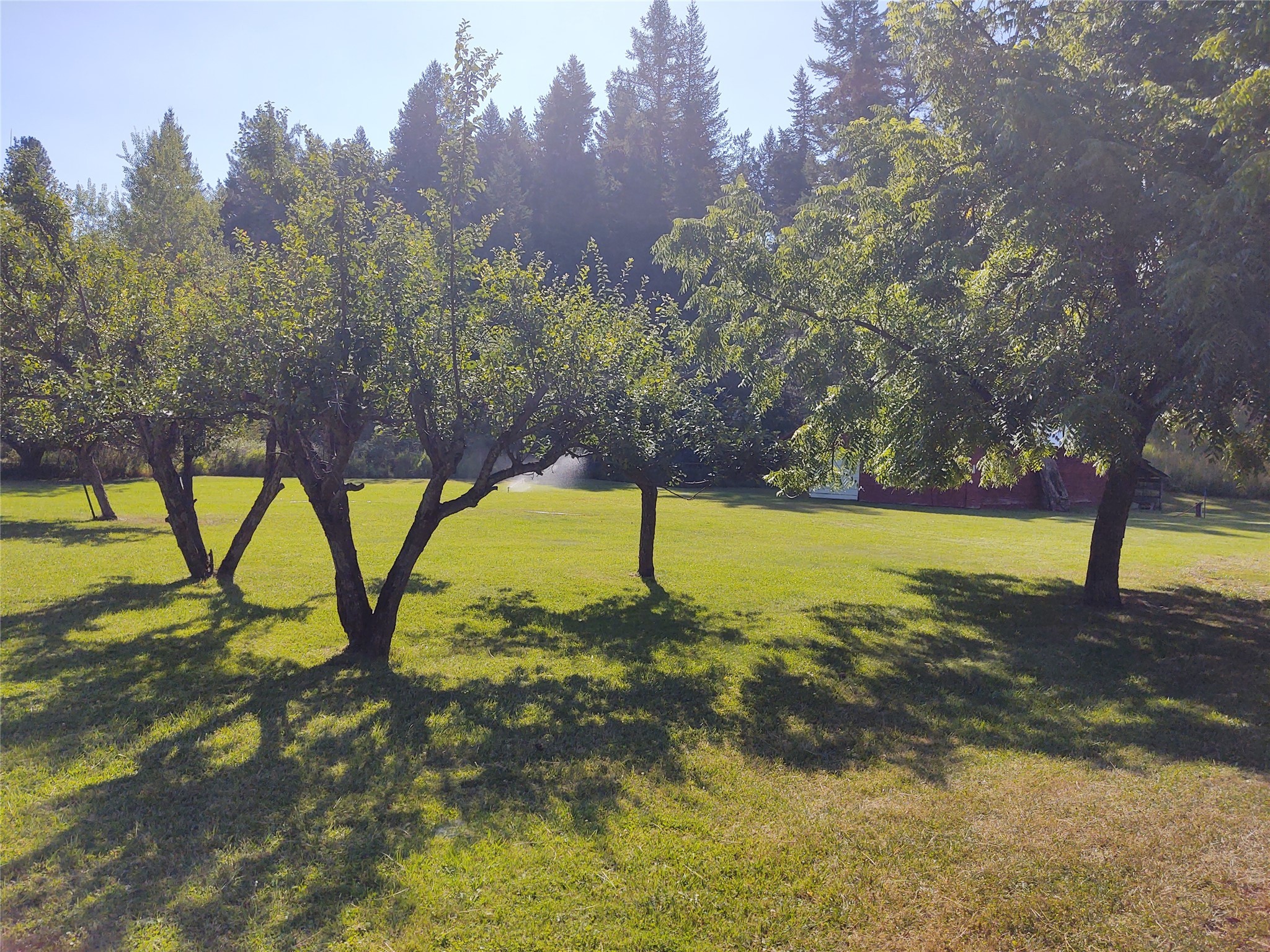 33359 Terrace Lake Road Property Photo 4
