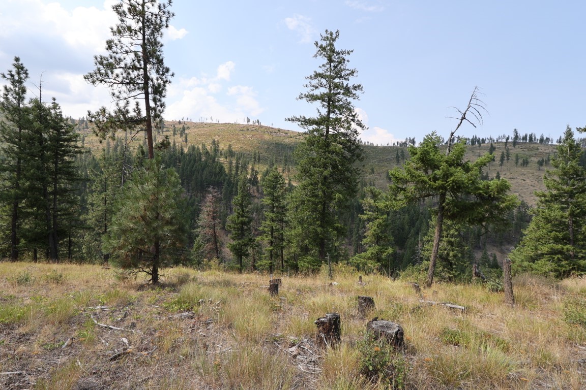 Nhn Tract 1c E Fork Combest Creek Road Property Photo 1