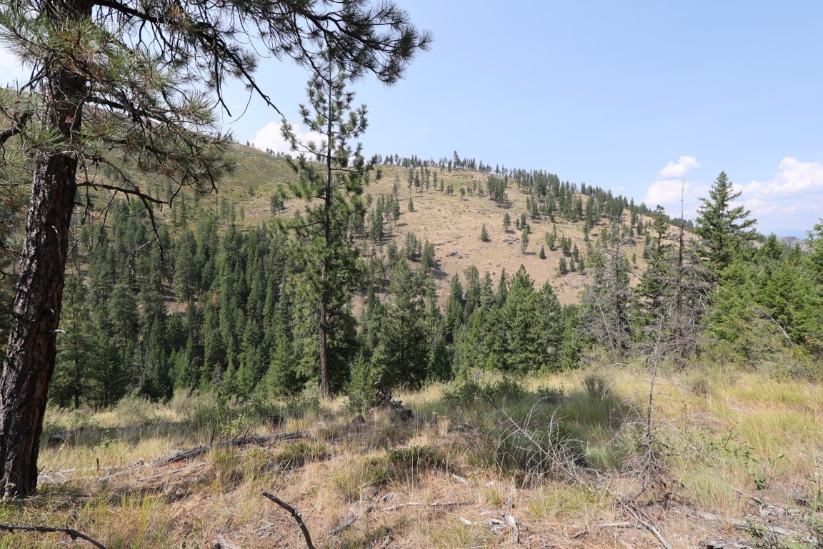 Nhn Tract 1c E Fork Combest Creek Road Property Photo 2