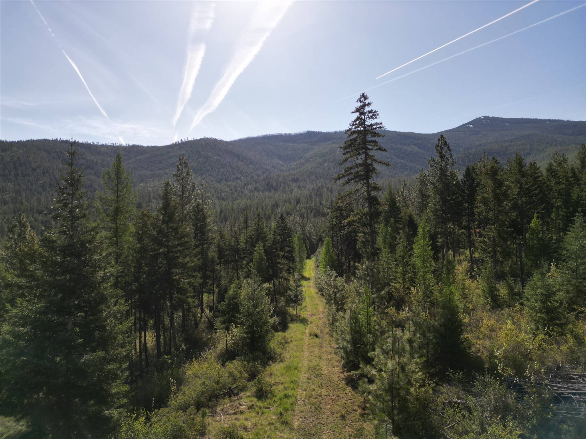 Nhn Tract 1c E Fork Combest Creek Road Property Photo 2