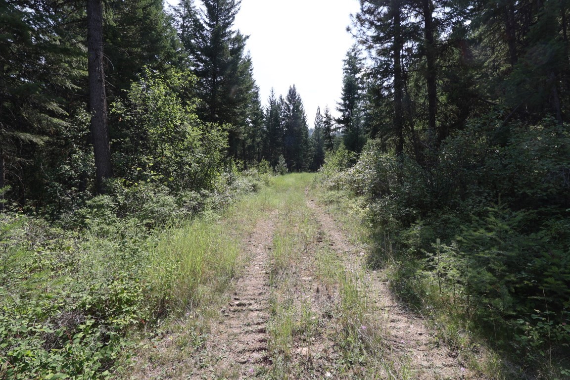 Nhn Tract 1c E Fork Combest Creek Road Property Photo 3