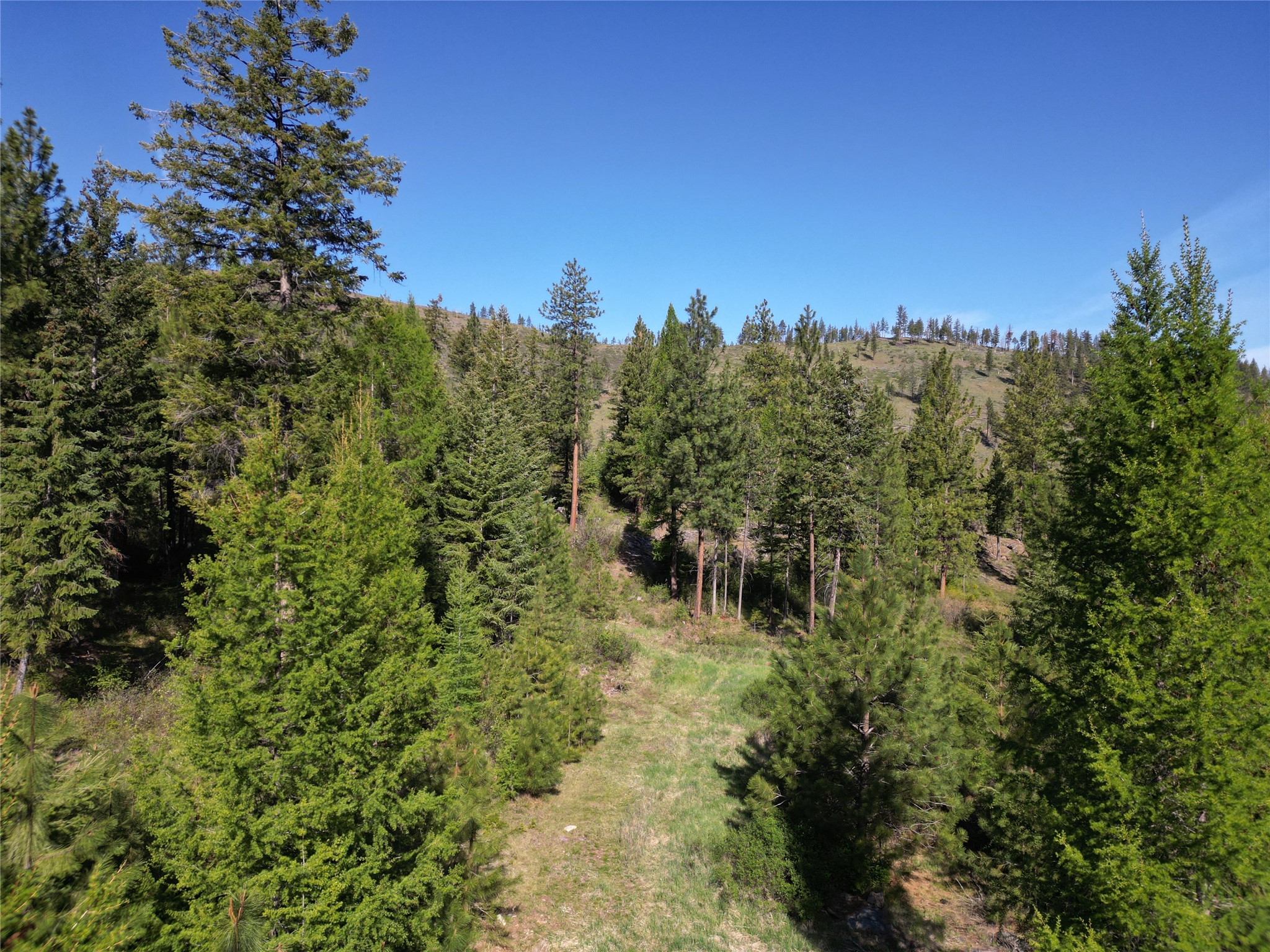 Nhn Tract 1c E Fork Combest Creek Road Property Photo 3