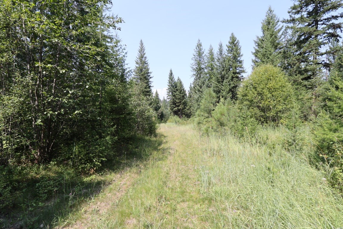 Nhn Tract 1c E Fork Combest Creek Road Property Photo 4