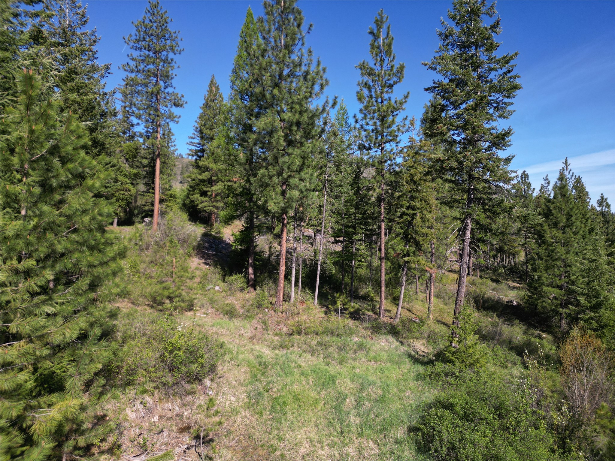 Nhn Tract 1c E Fork Combest Creek Road Property Photo 4