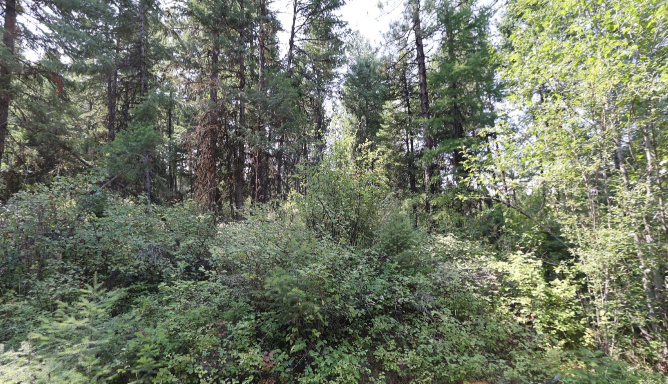 Nhn Tract 1c E Fork Combest Creek Road Property Photo 5