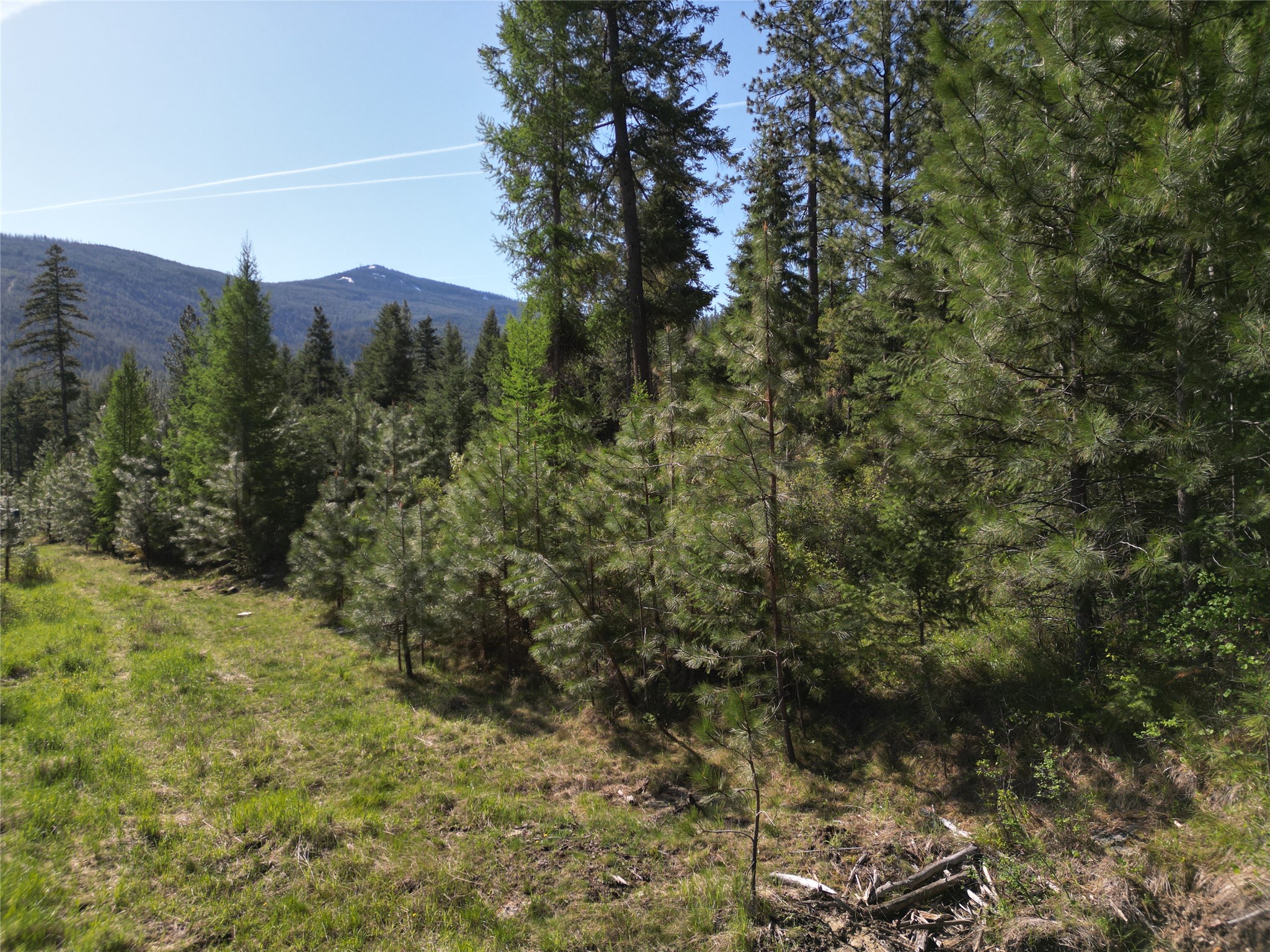 Nhn Tract 1c E Fork Combest Creek Road Property Photo 5