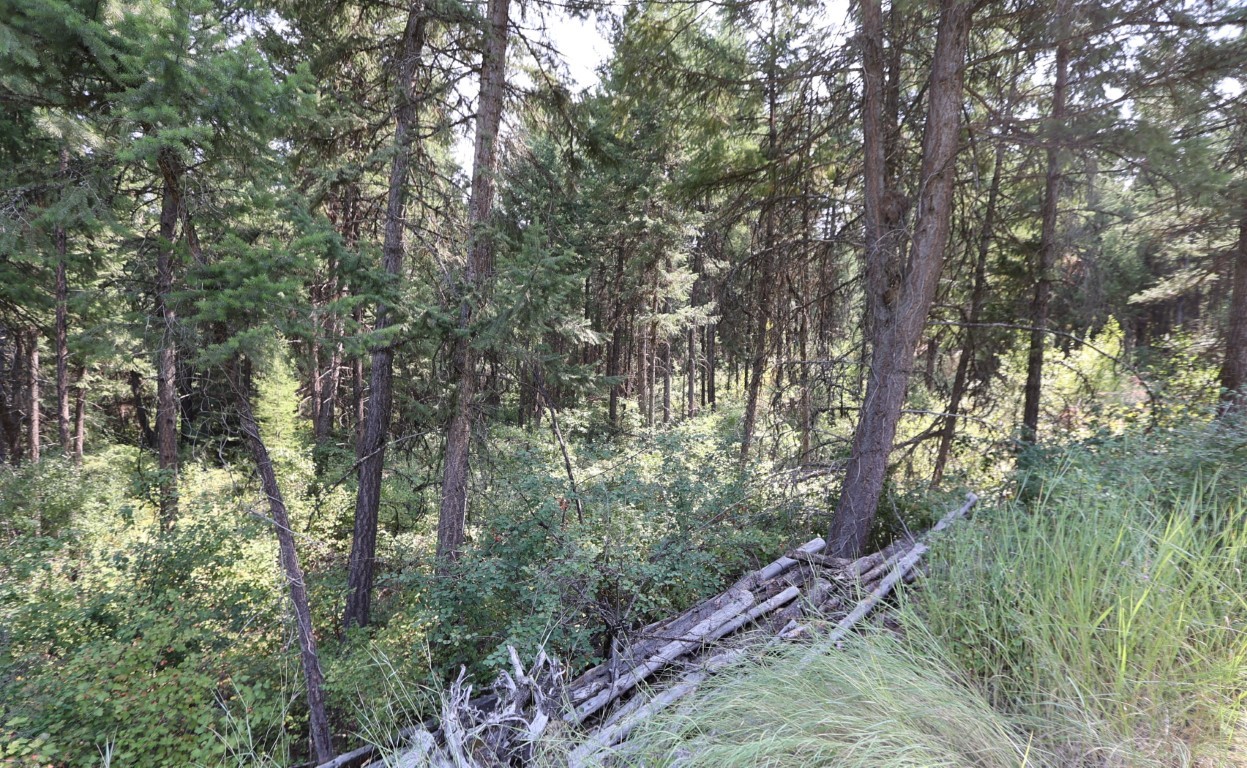 Nhn Tract 1c E Fork Combest Creek Road Property Photo 6