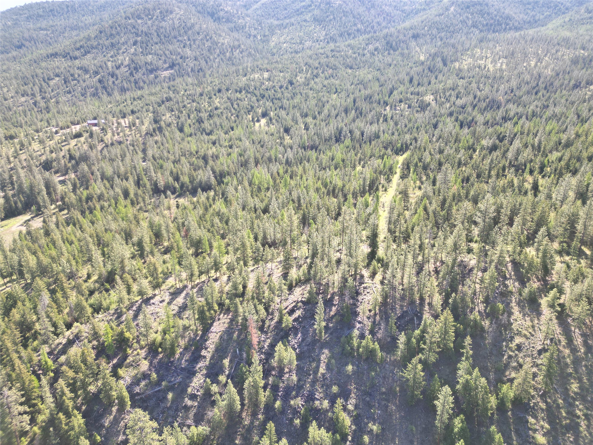 Nhn Tract 1c E Fork Combest Creek Road Property Photo 8