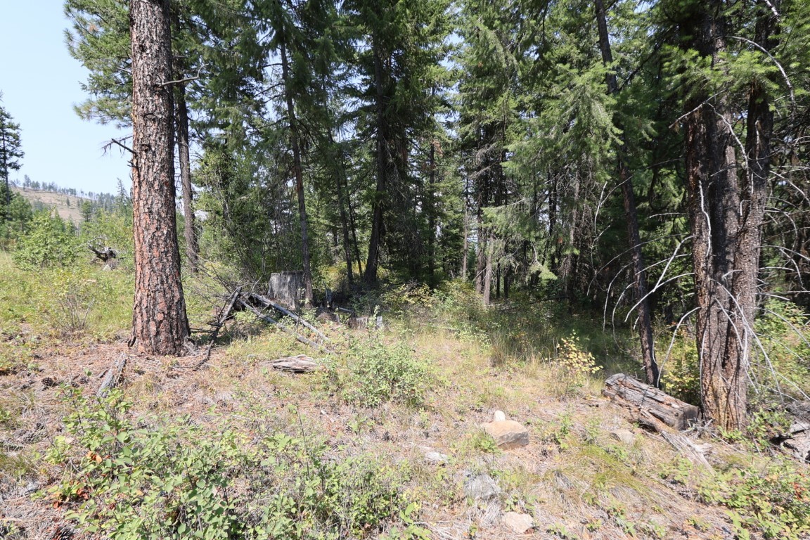 Nhn Tract 1c E Fork Combest Creek Road Property Photo 9