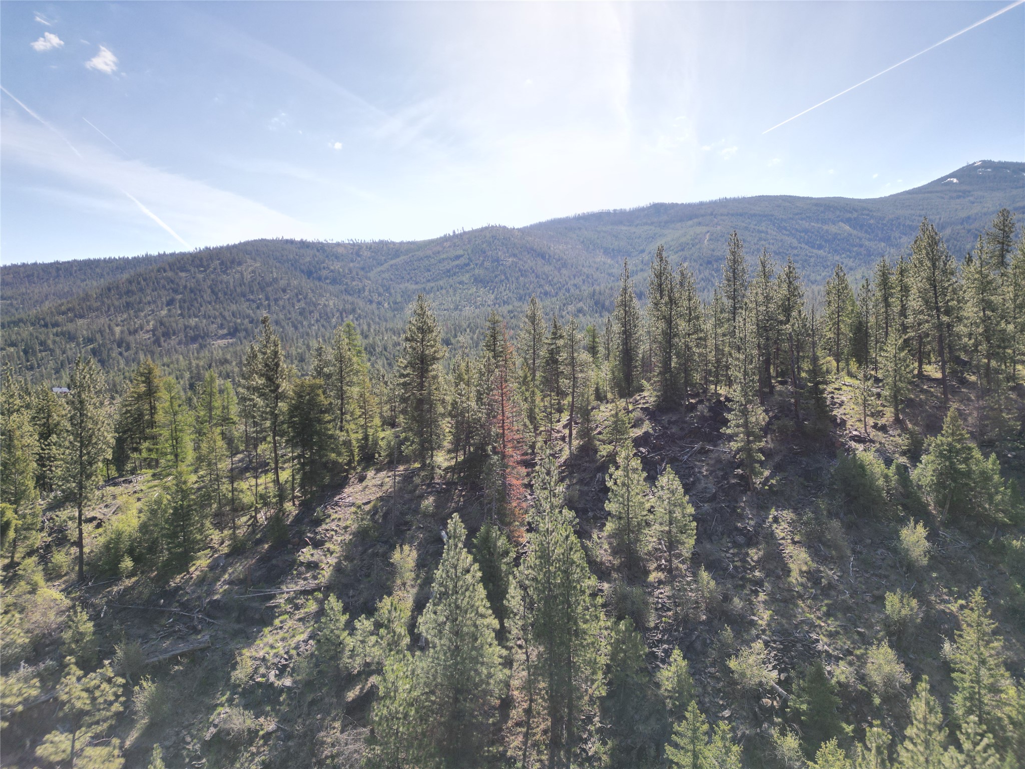 Nhn Tract 1c E Fork Combest Creek Road Property Photo 9