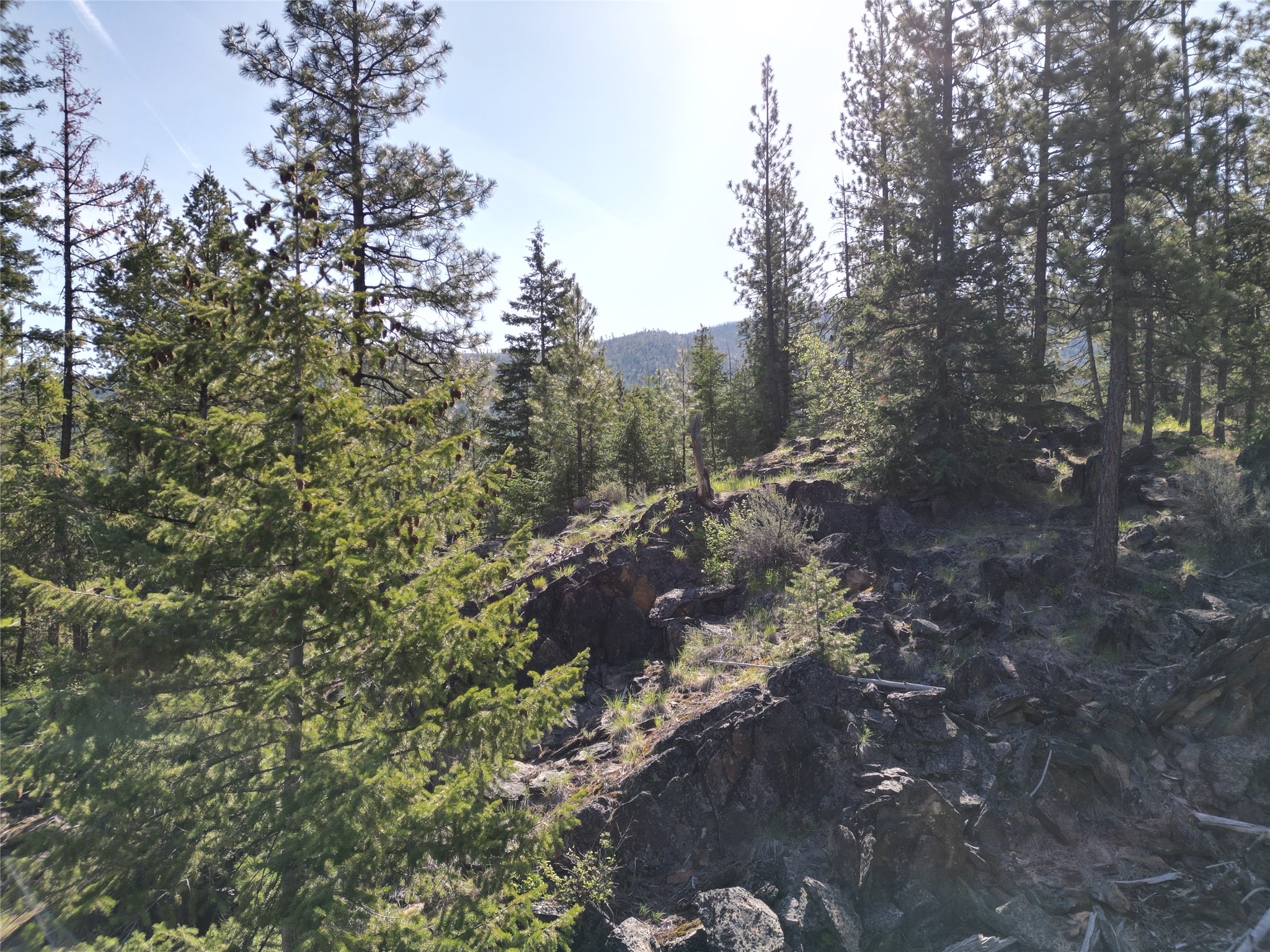 Nhn Tract 1c E Fork Combest Creek Road Property Photo 10