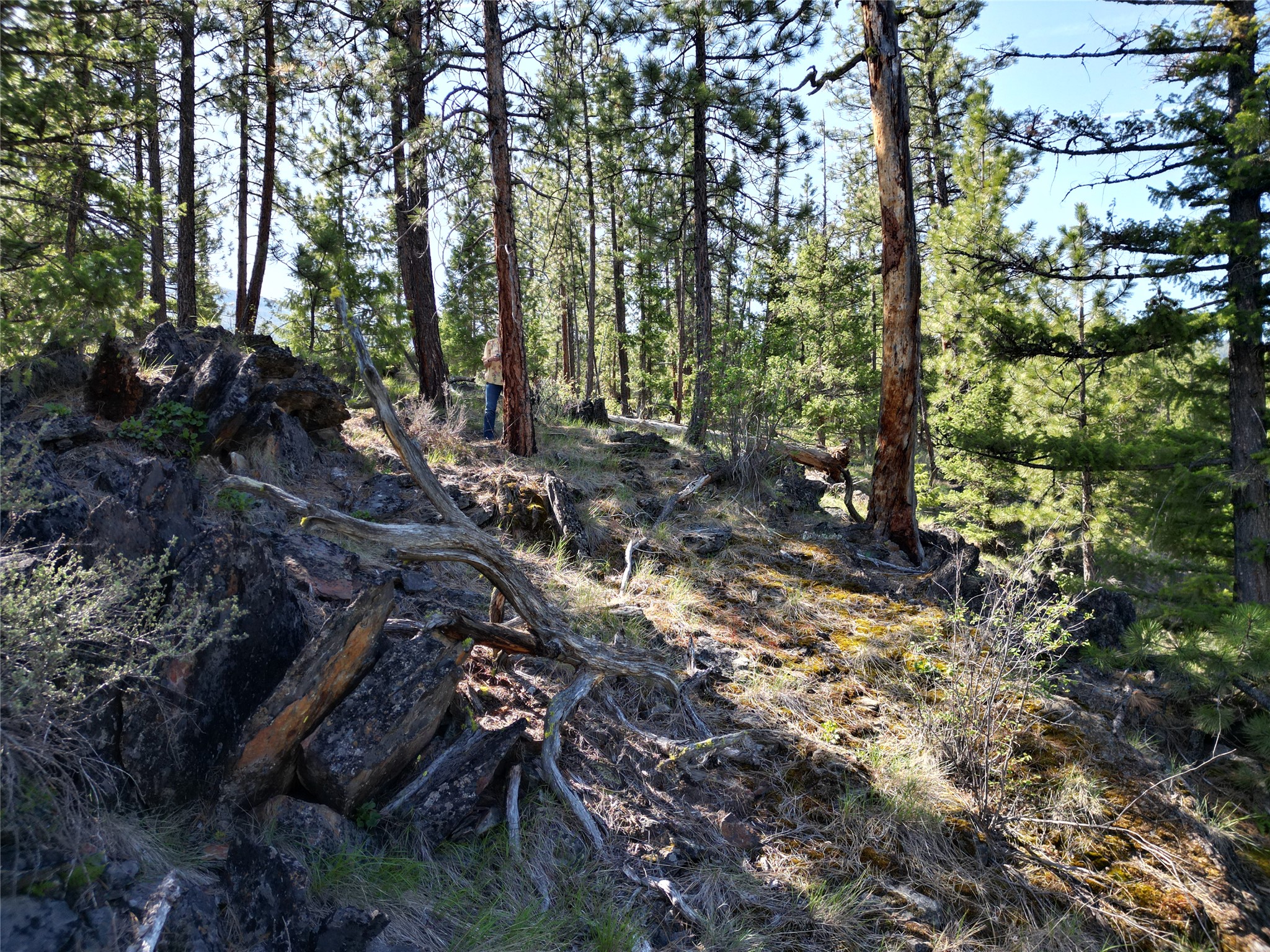 Nhn Tract 1c E Fork Combest Creek Road Property Photo 11