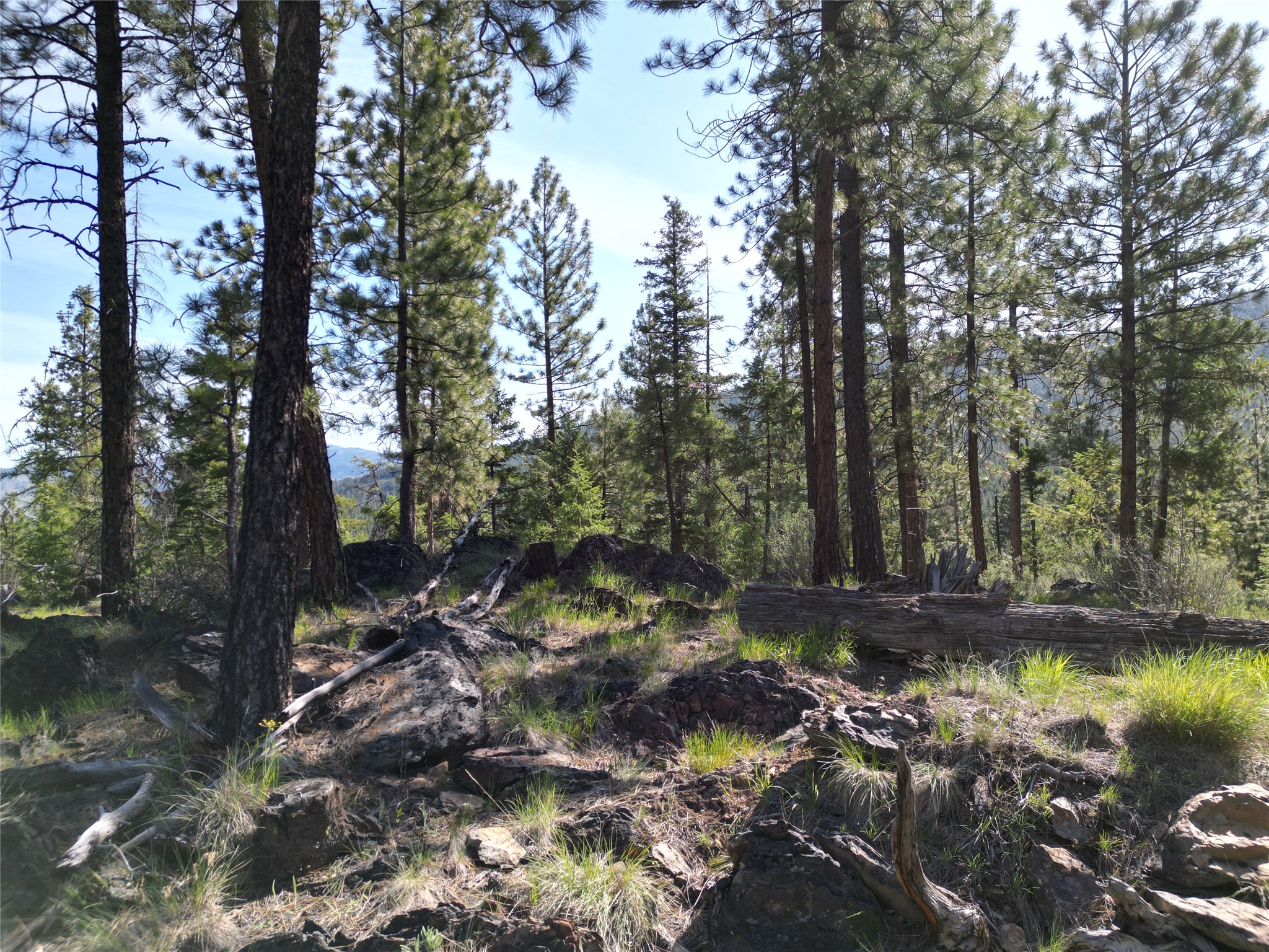 Nhn Tract 1c E Fork Combest Creek Road Property Photo 12
