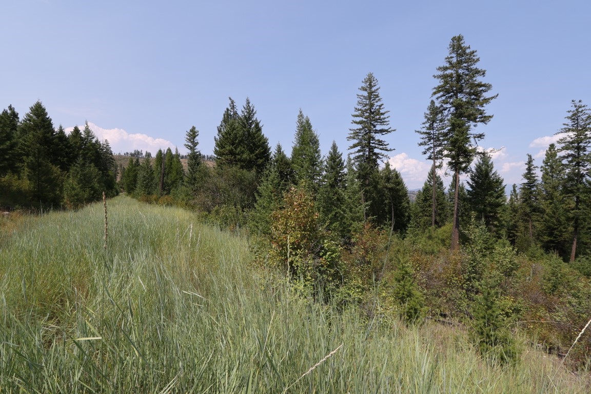 Nhn Tract 1c E Fork Combest Creek Road Property Photo 13
