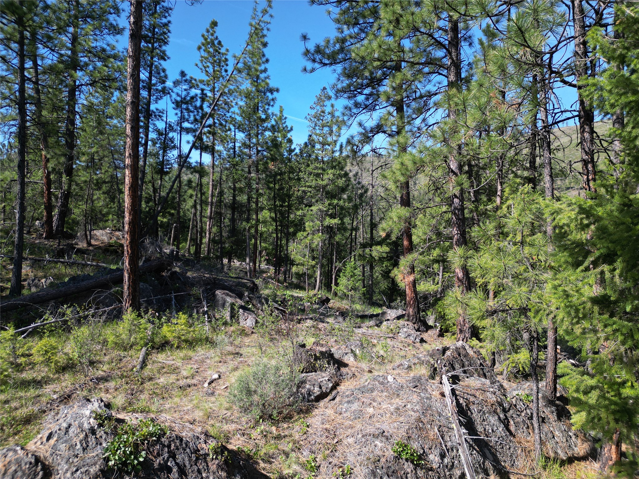 Nhn Tract 1c E Fork Combest Creek Road Property Photo 13