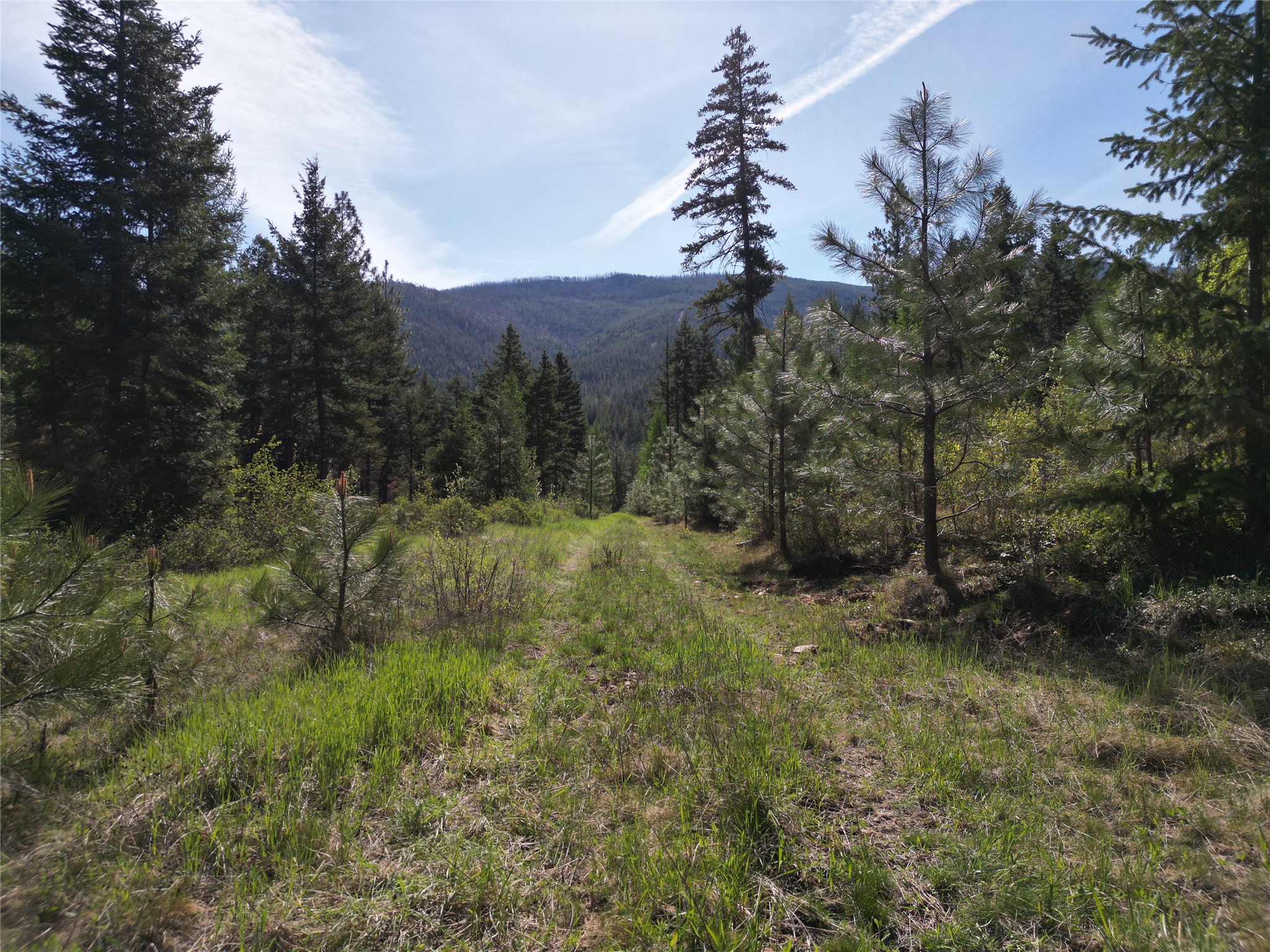 Nhn Tract 1c E Fork Combest Creek Road Property Photo 14