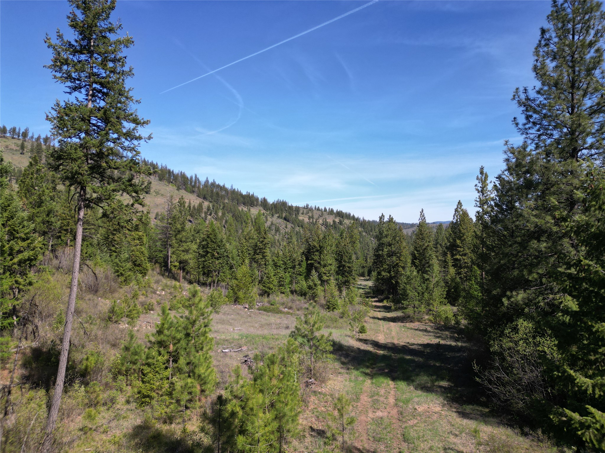 Nhn Tract 1c E Fork Combest Creek Road Property Photo 15