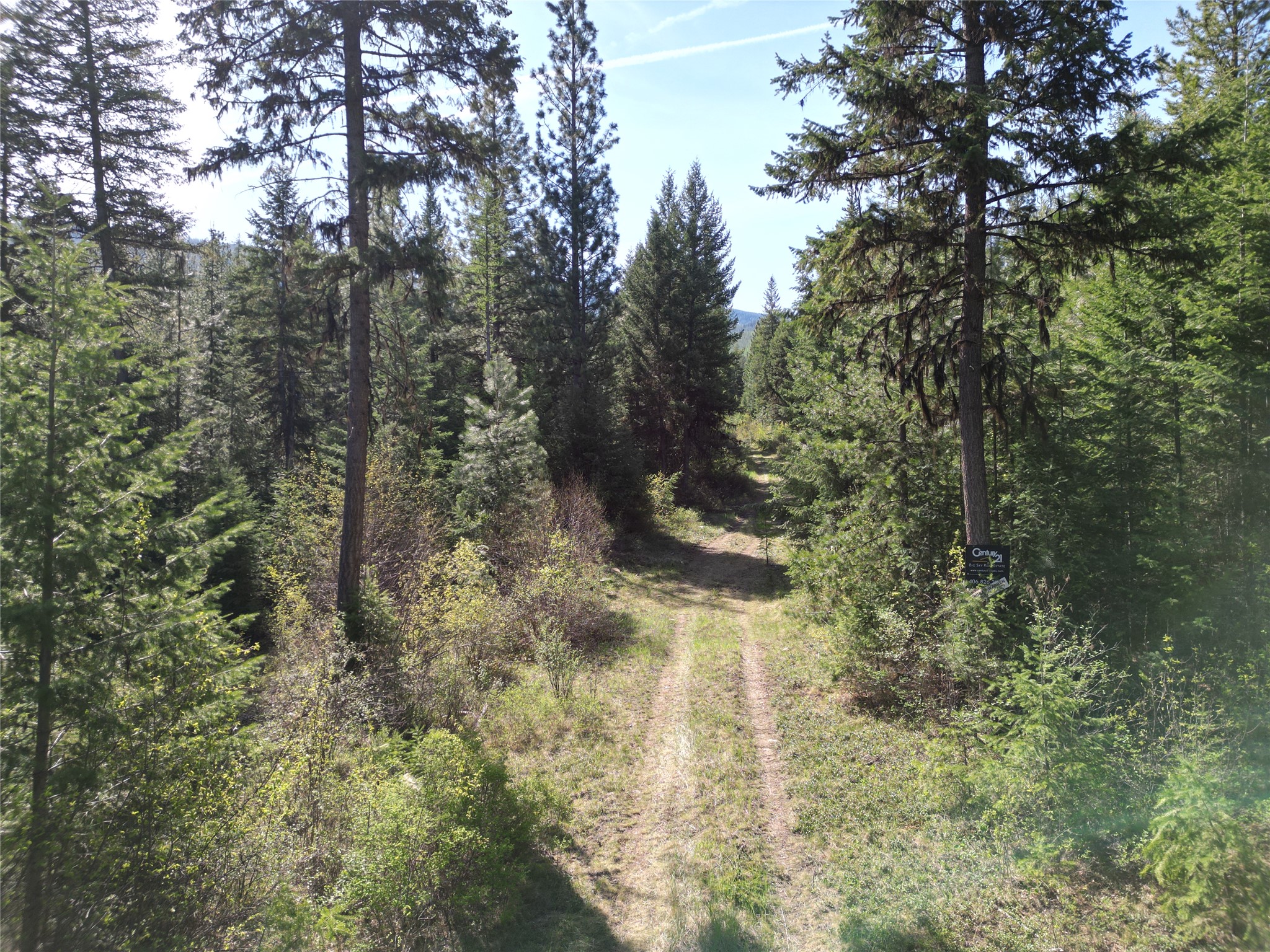 Nhn Tract 1c E Fork Combest Creek Road Property Photo 16